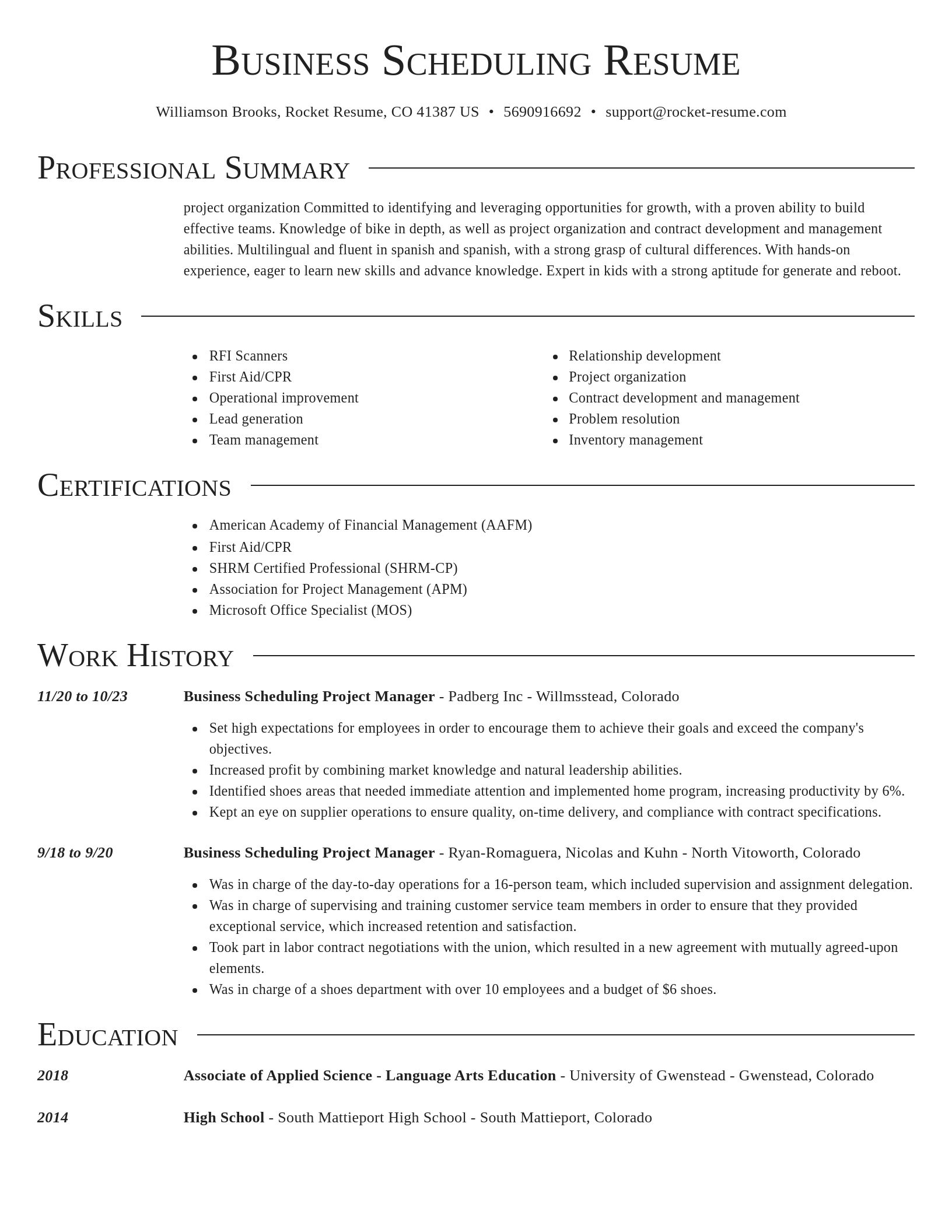 Director resume template