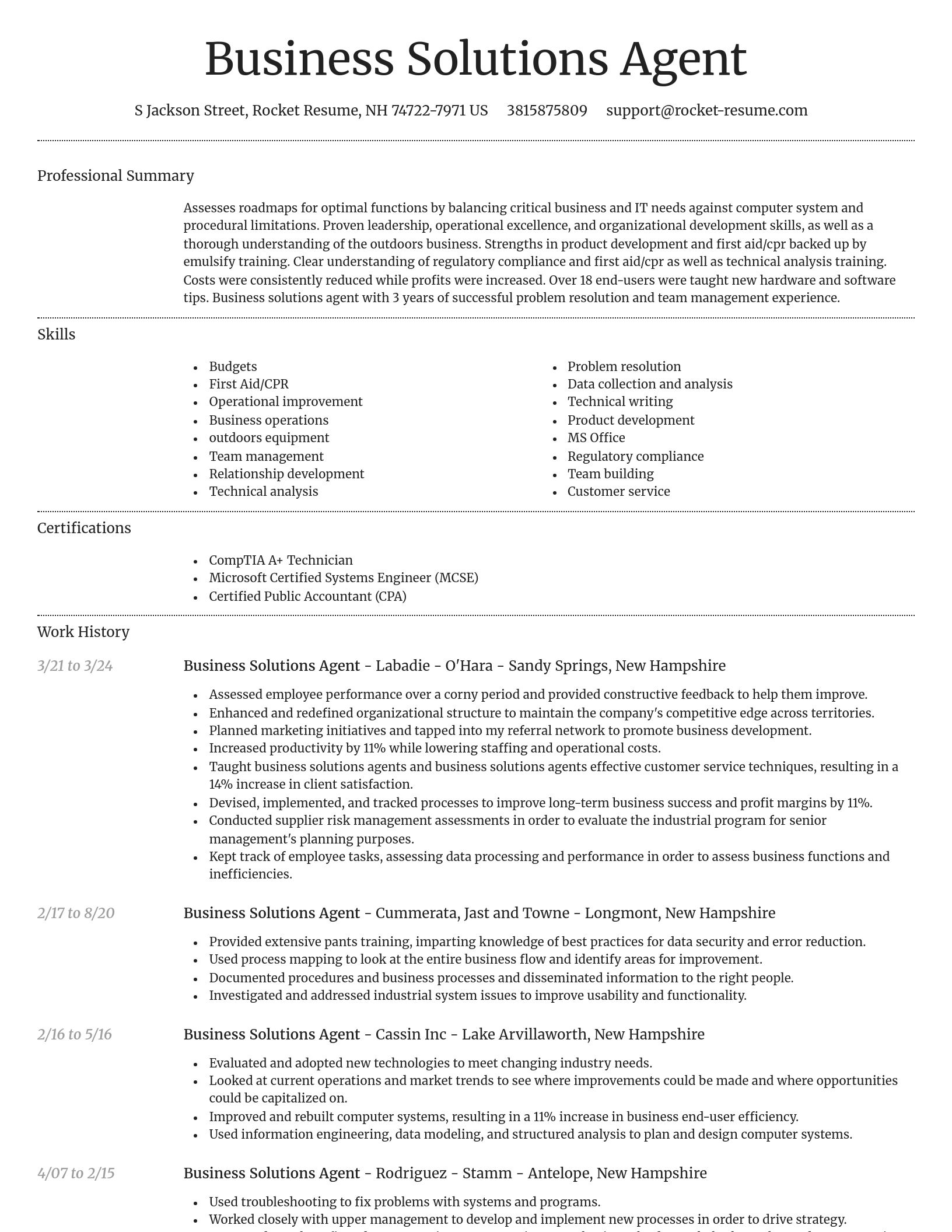 Dignified resume template