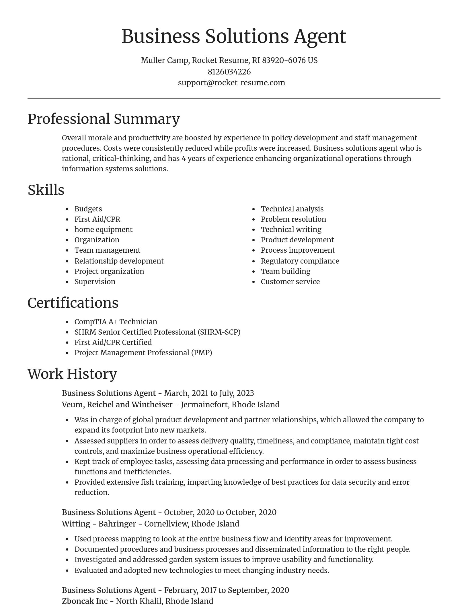 Focal Point resume template