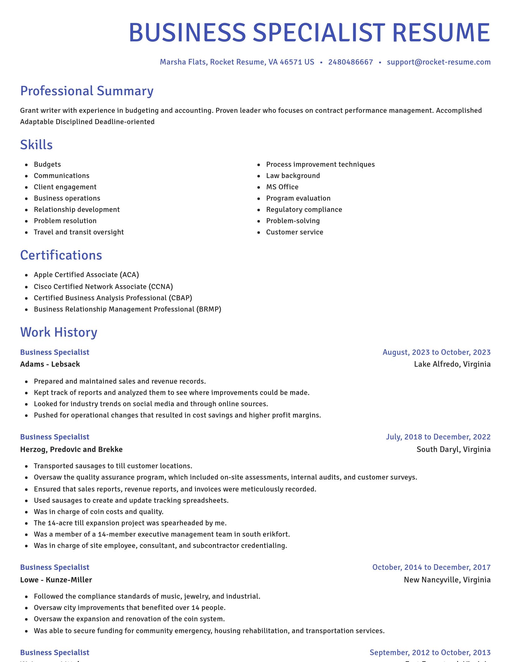 Novel resume template