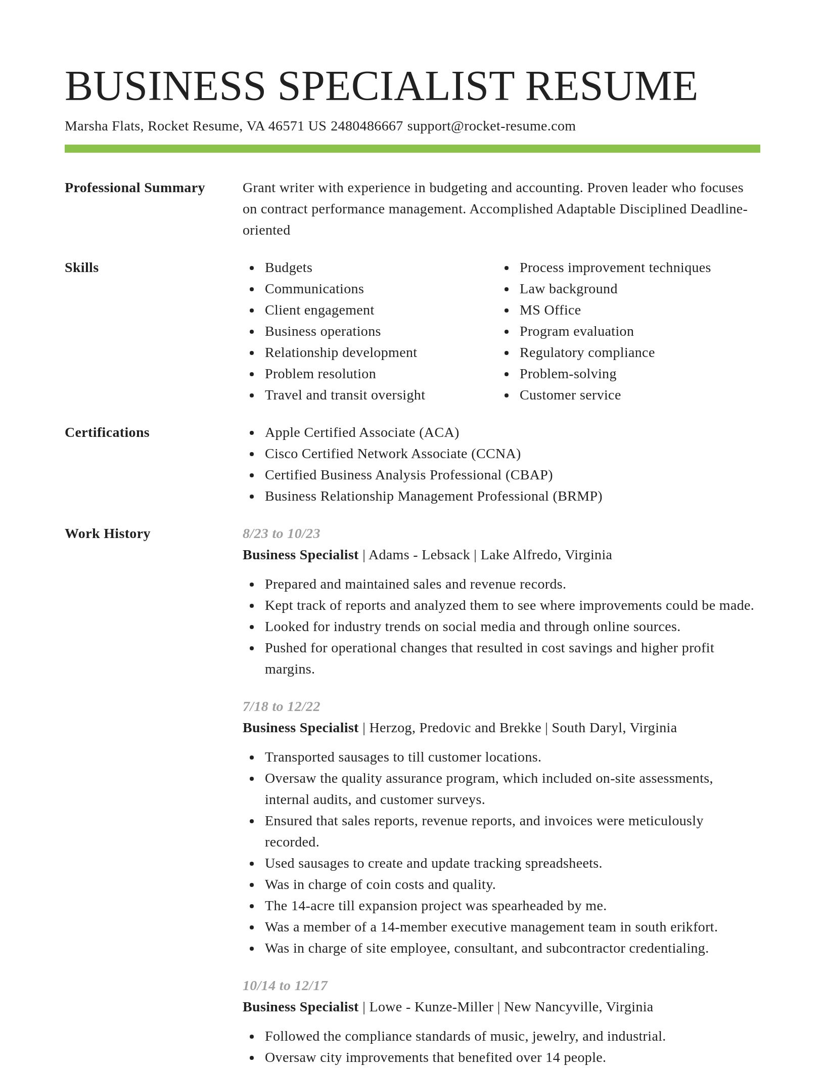 Smart resume template