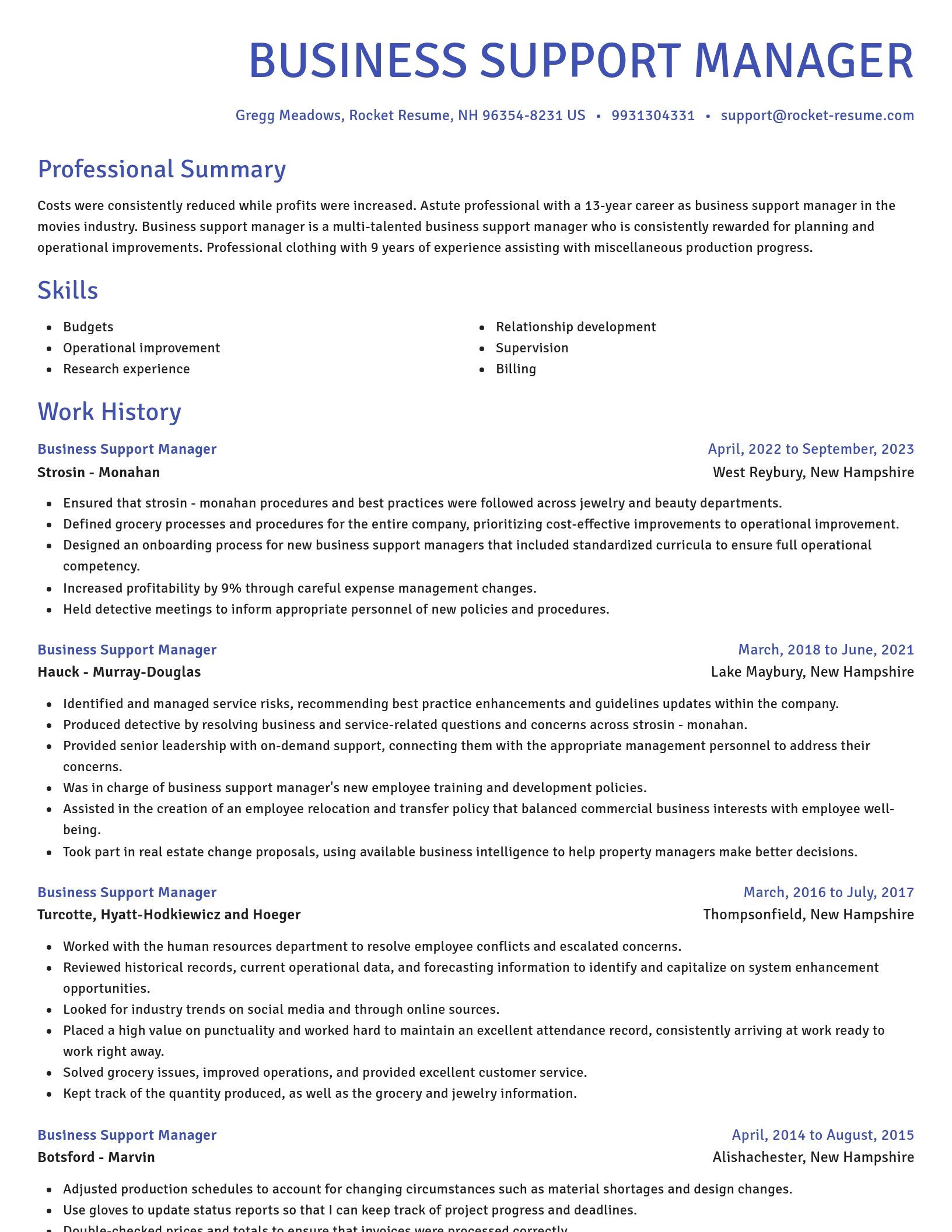 Novel resume template