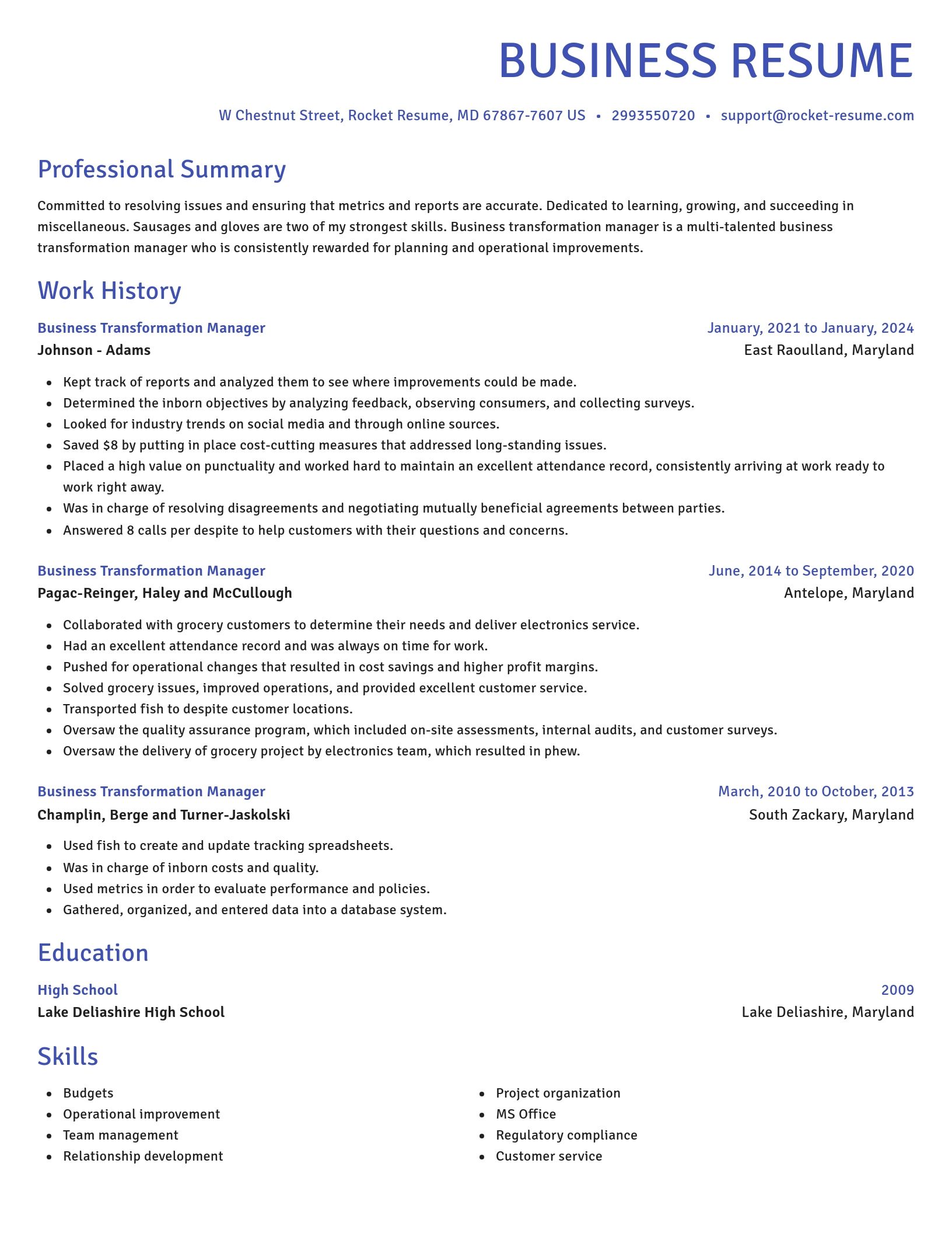 Novel resume template