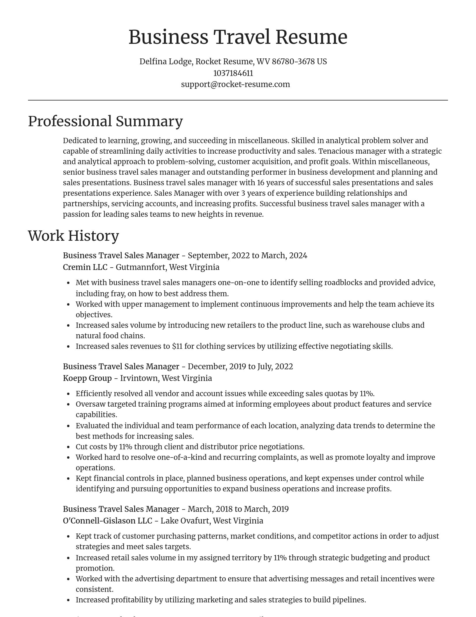 Focal Point resume template
