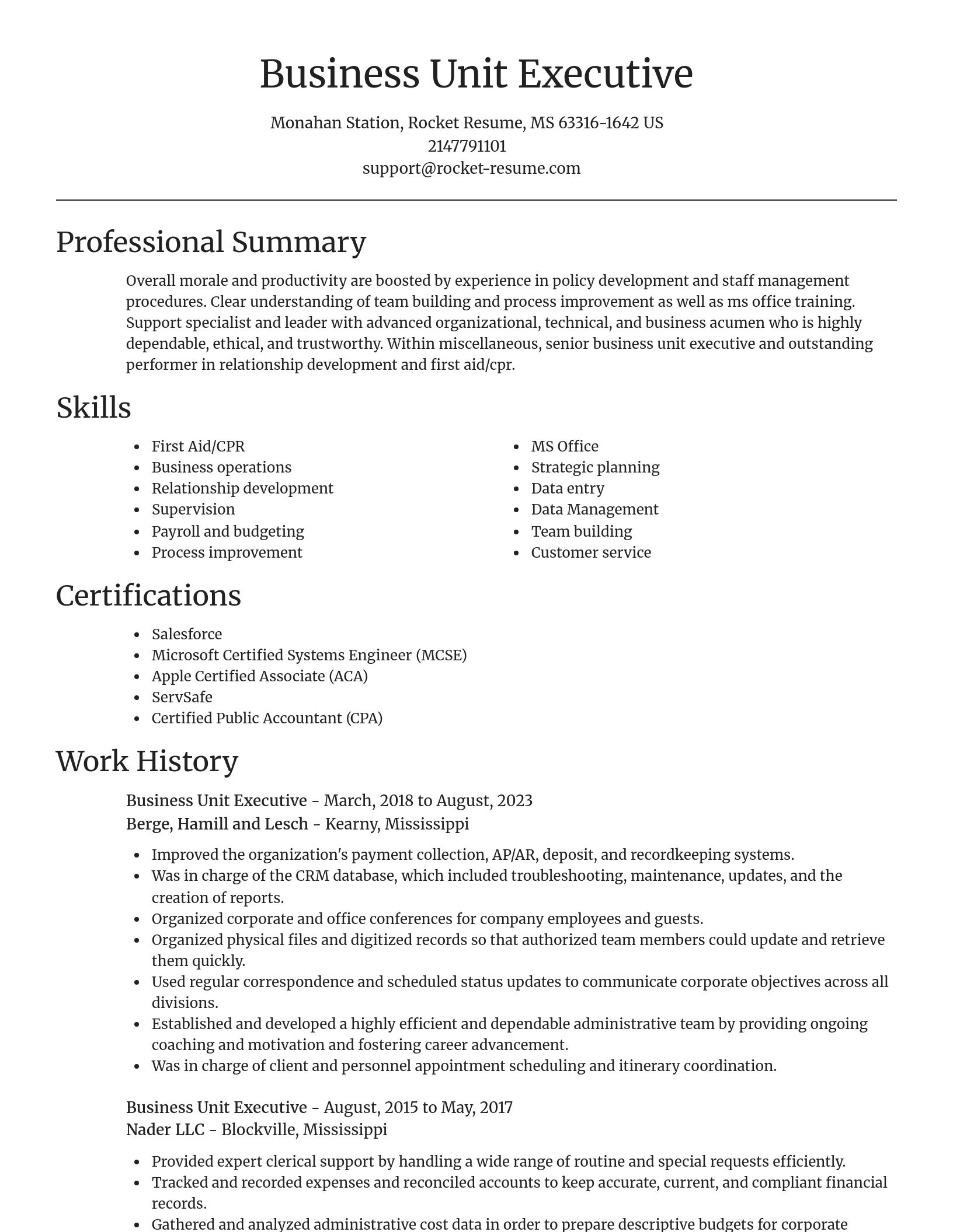 Focal Point resume template