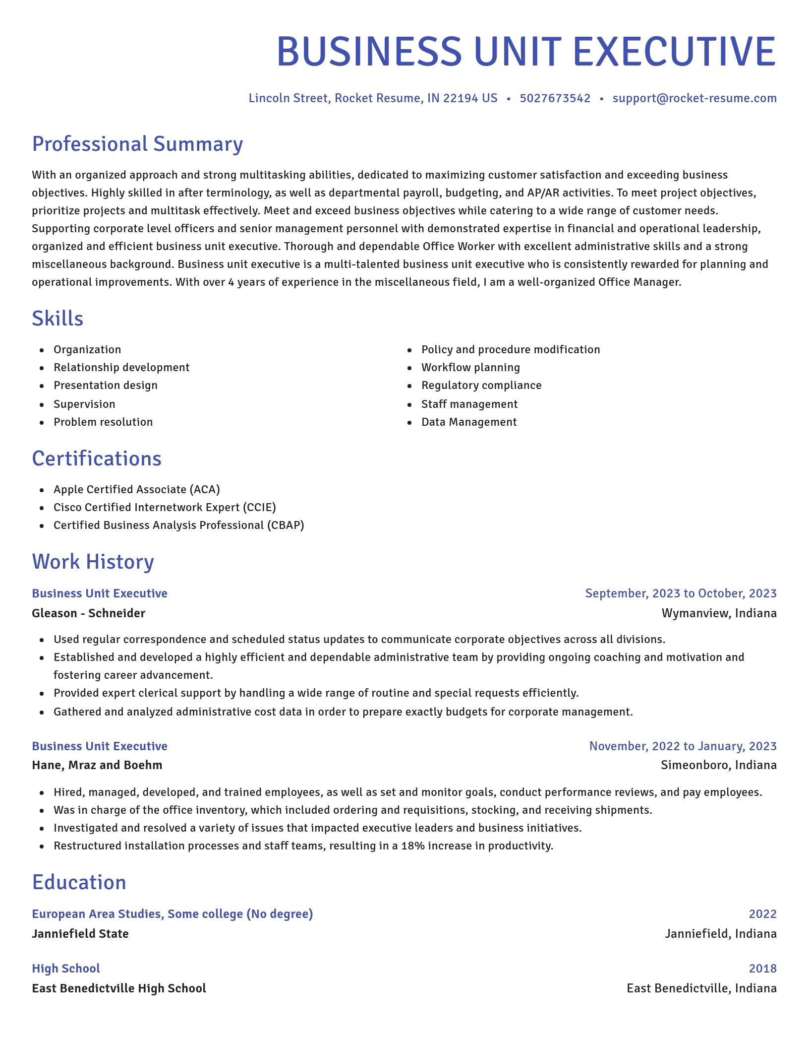 Novel resume template