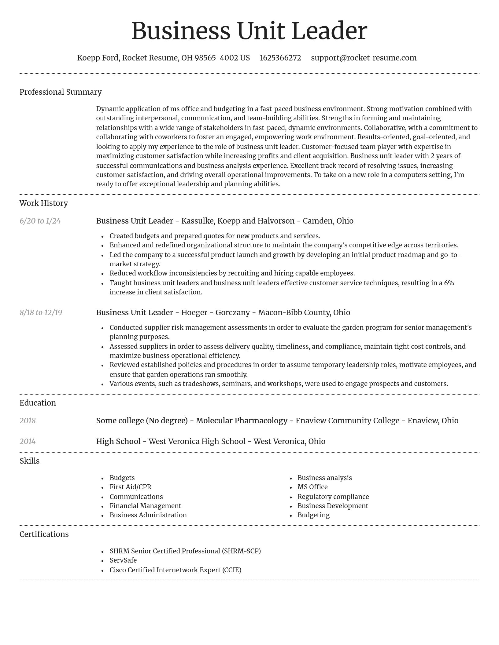 Dignified resume template