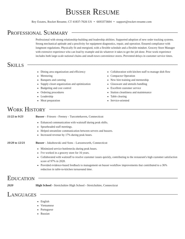 Director resume template