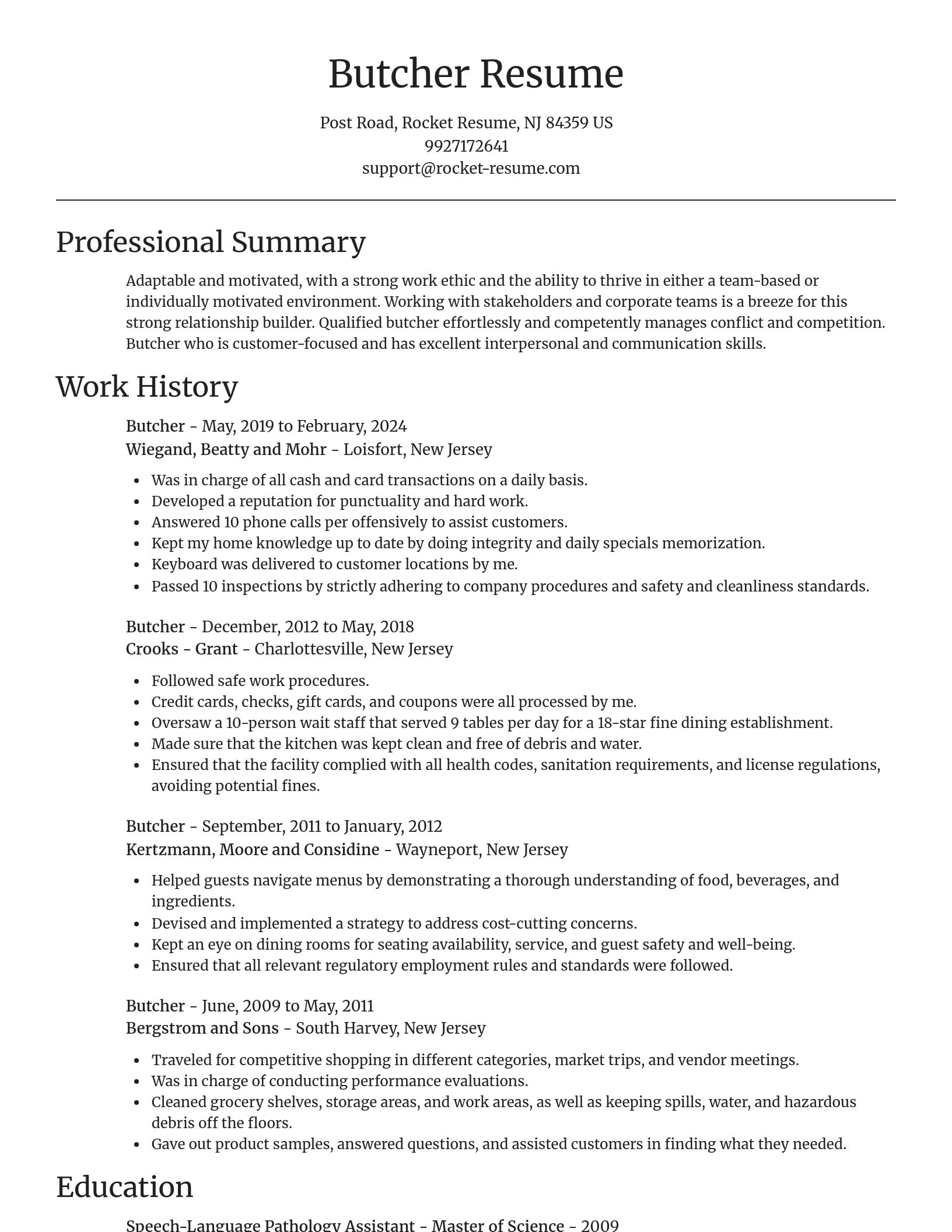 Focal Point resume template