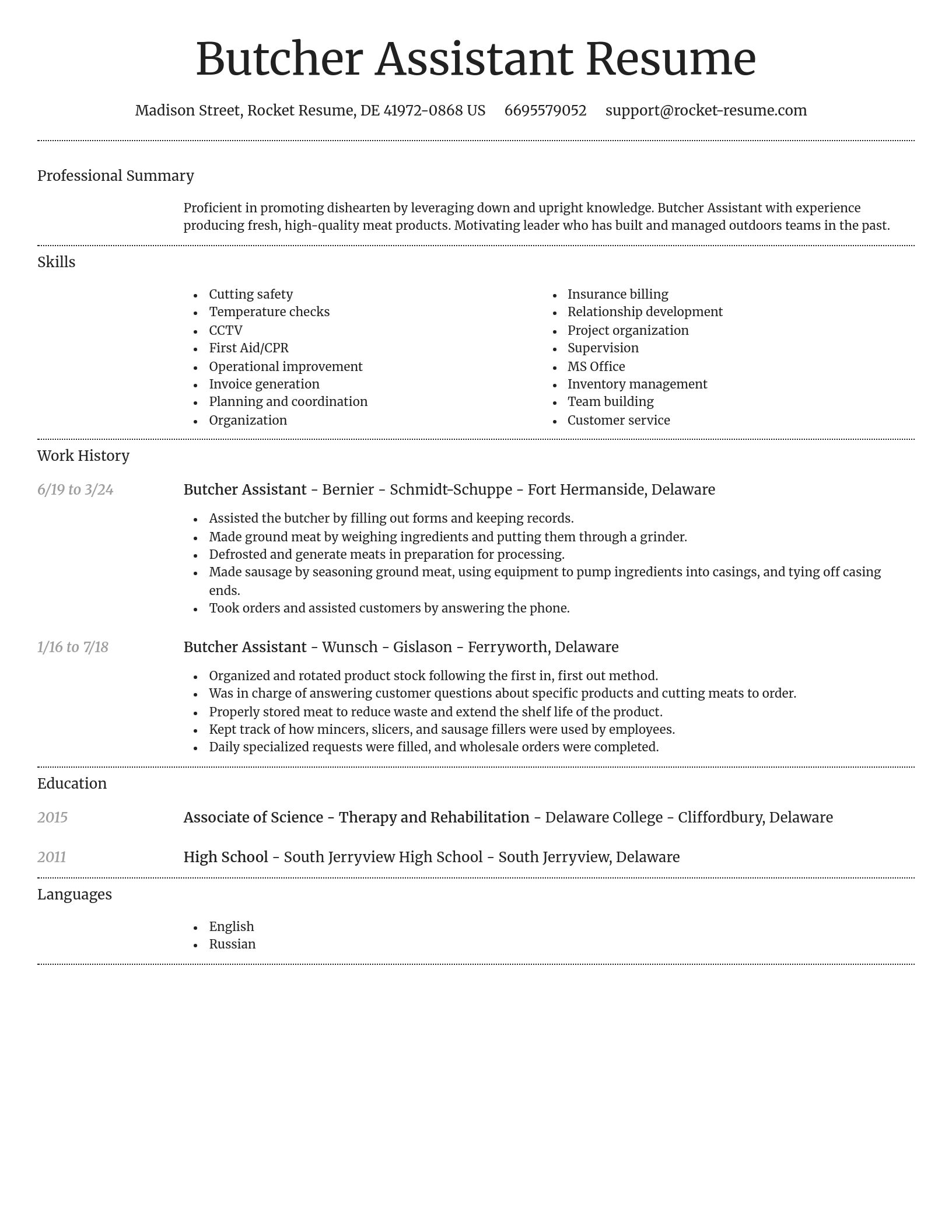 Dignified resume template