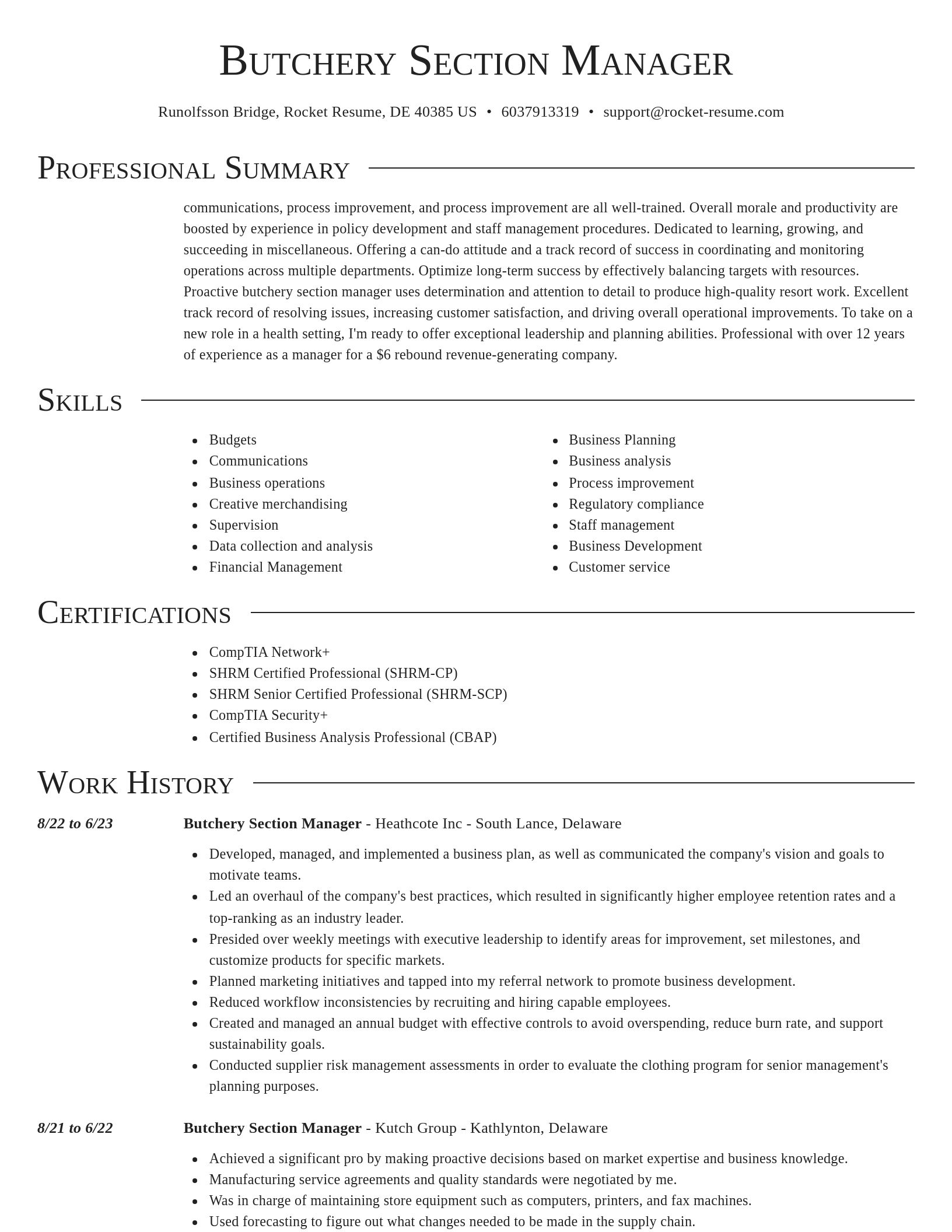 Director resume template
