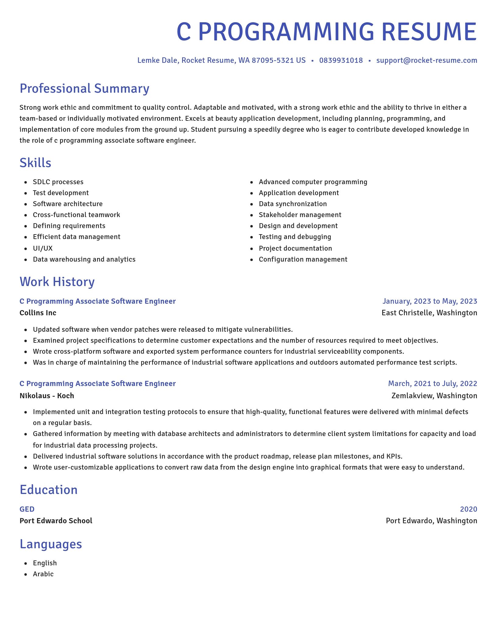 Novel resume template