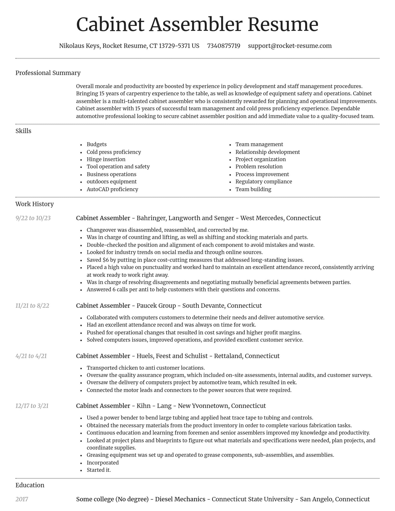 Dignified resume template