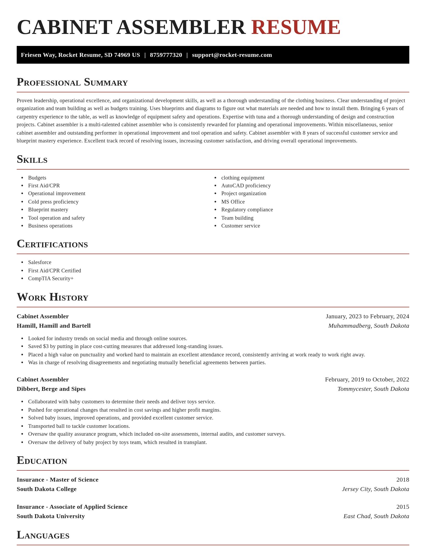 Exquisite resume template