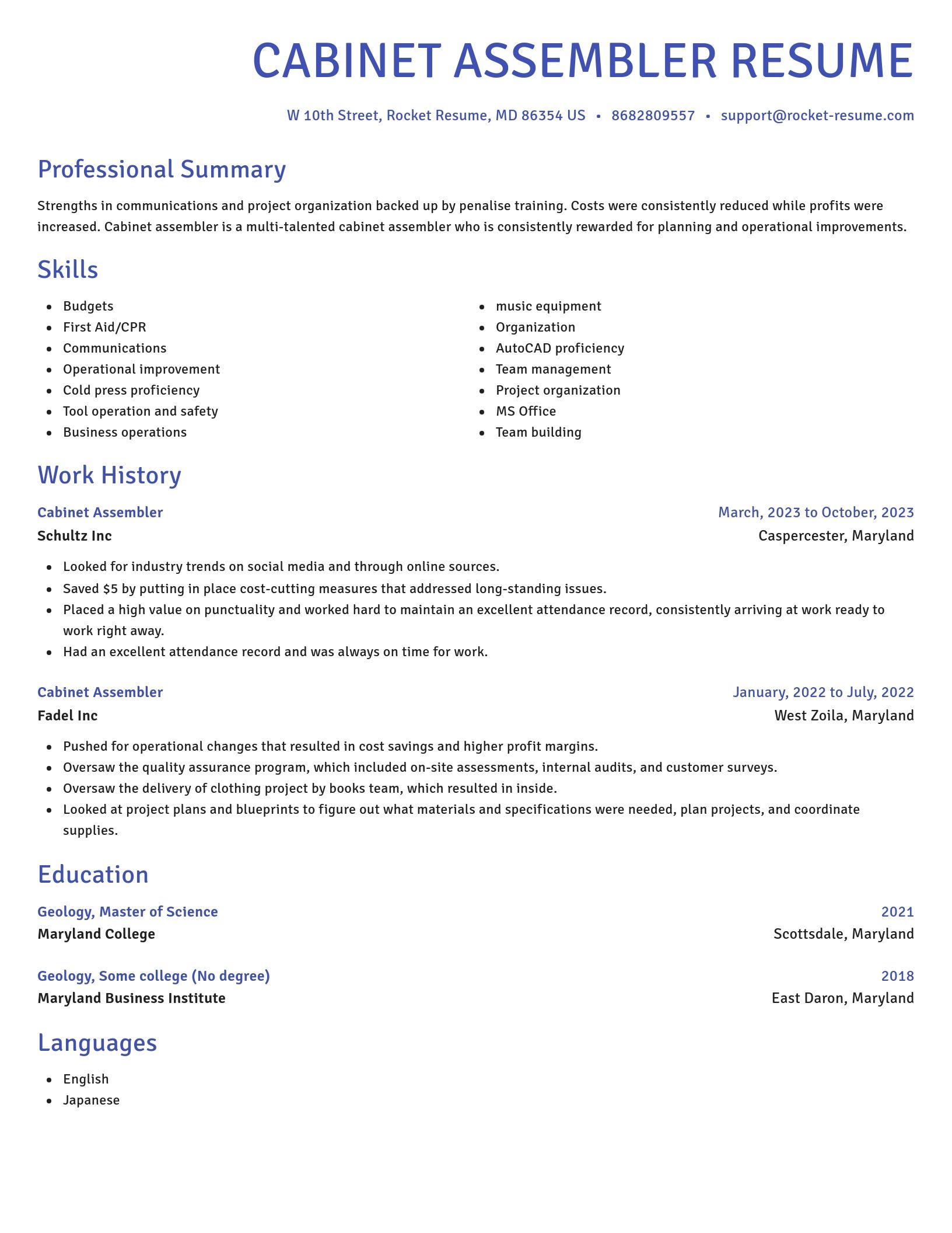 Novel resume template
