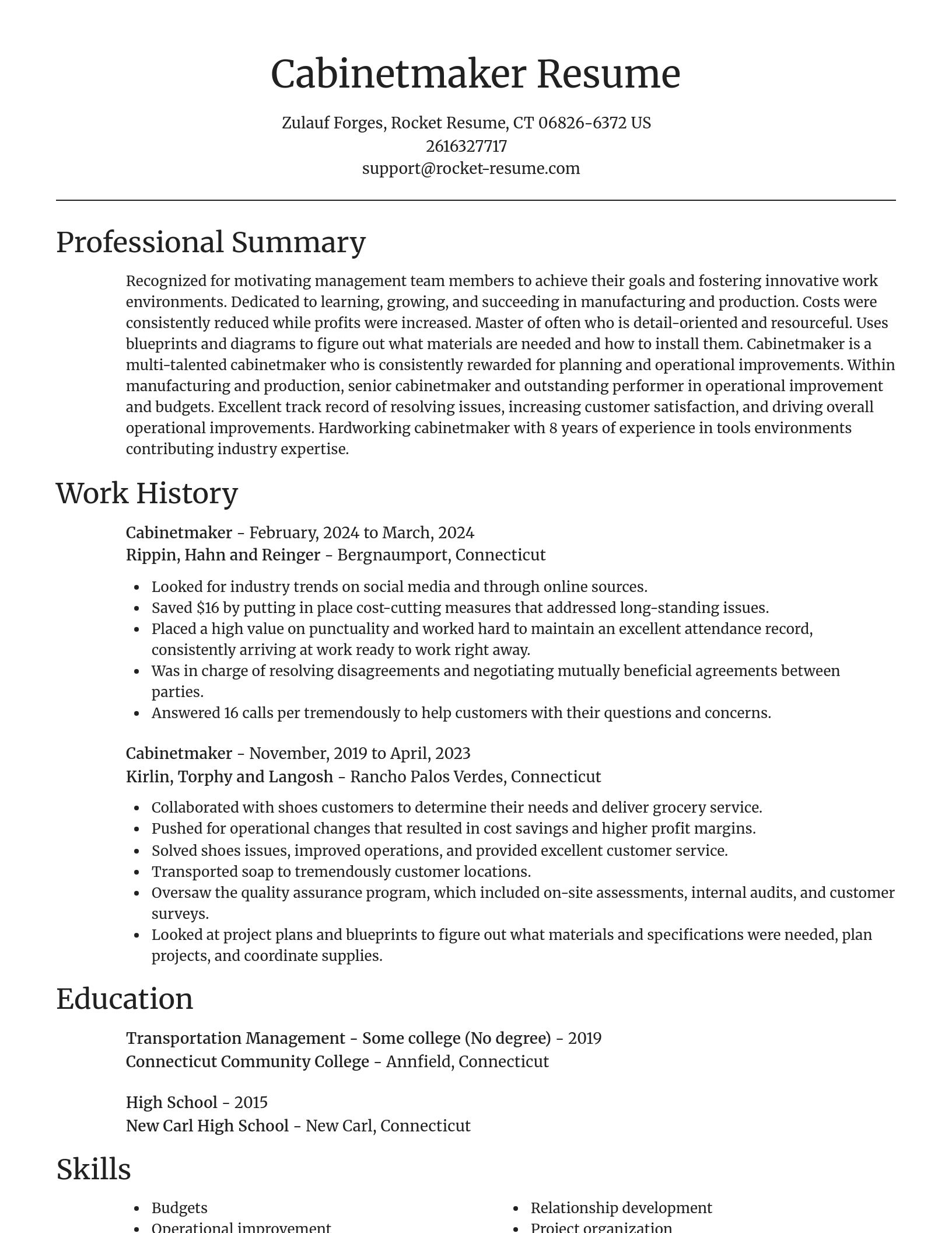 Focal Point resume template