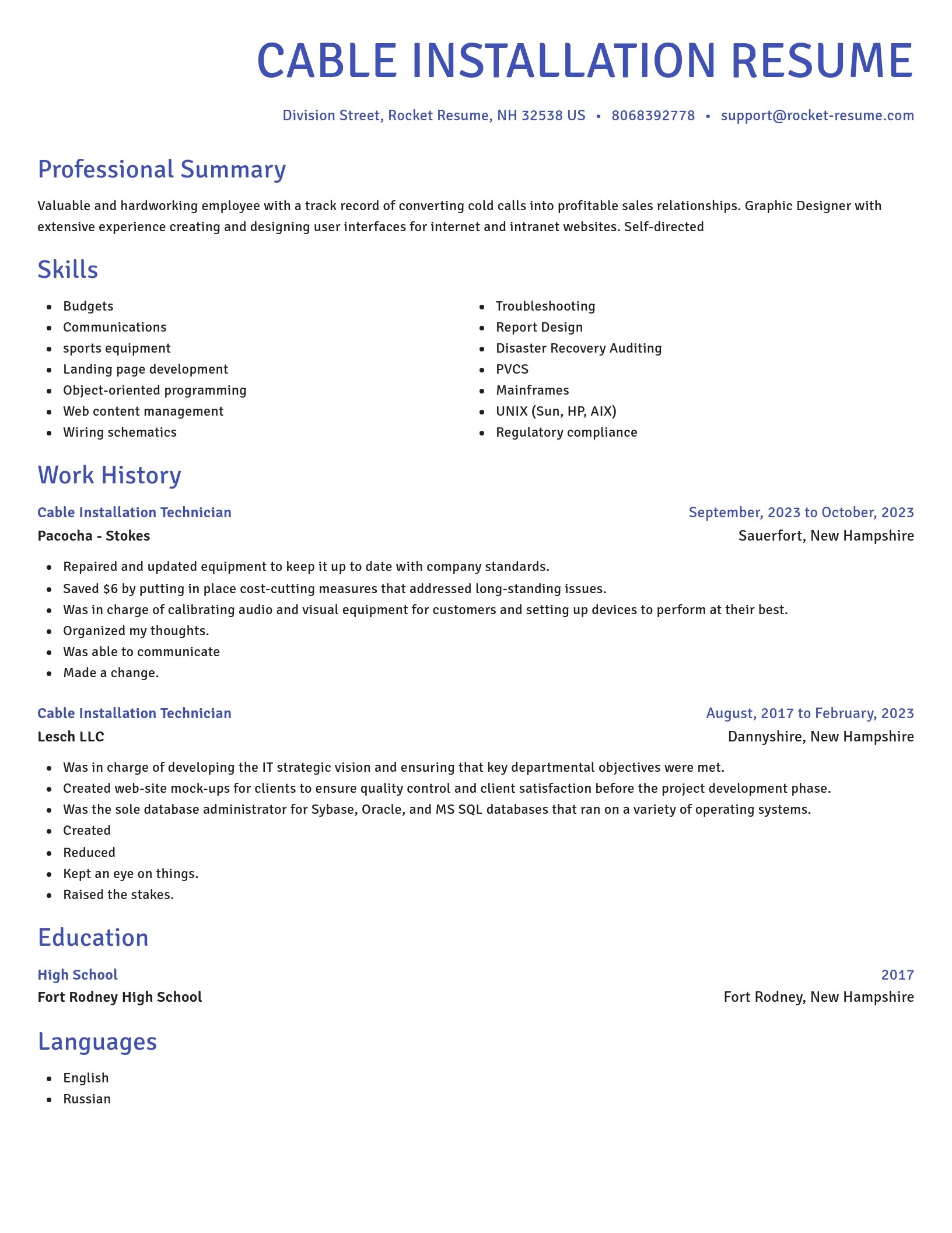 Novel resume template