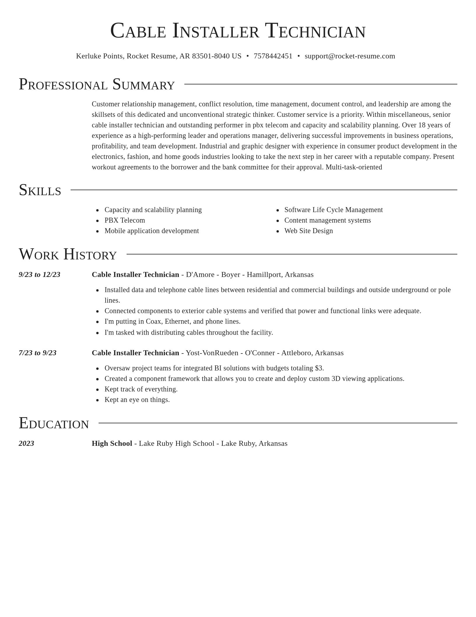 Director resume template