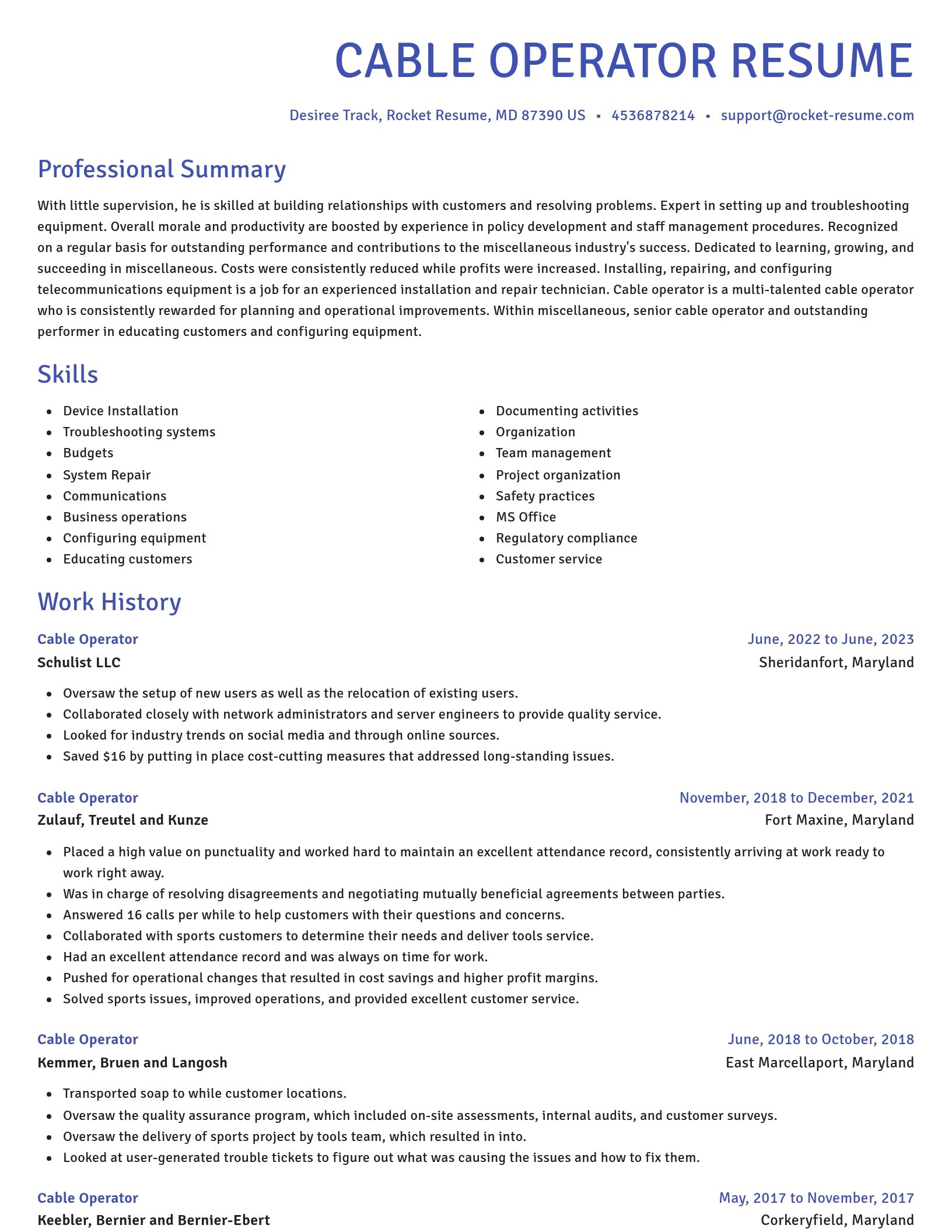 Novel resume template