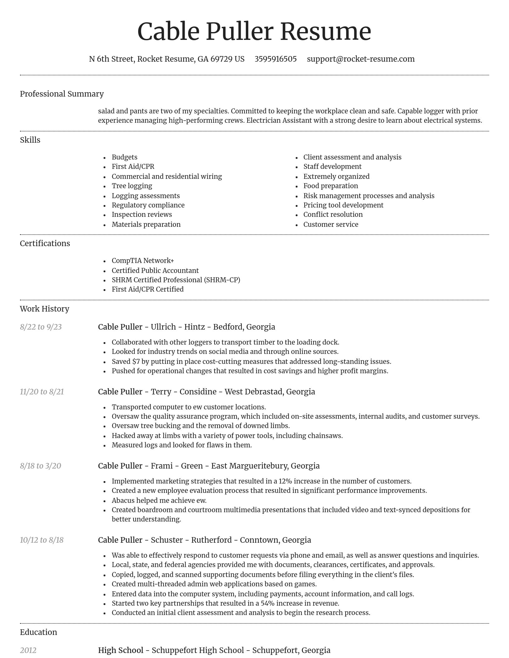 Dignified resume template