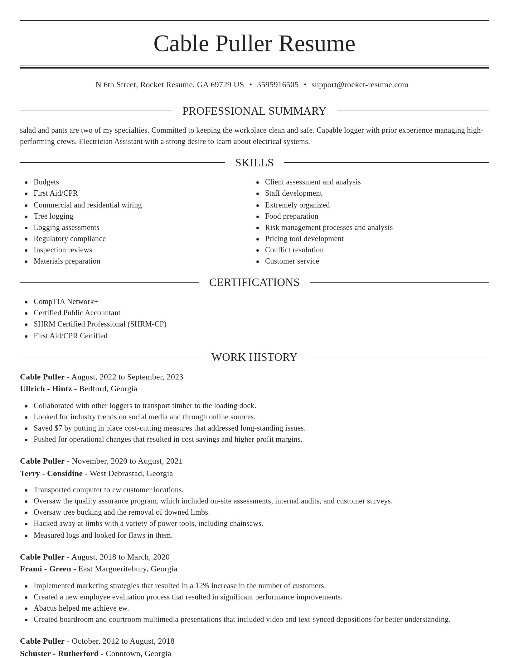 Elegant resume template