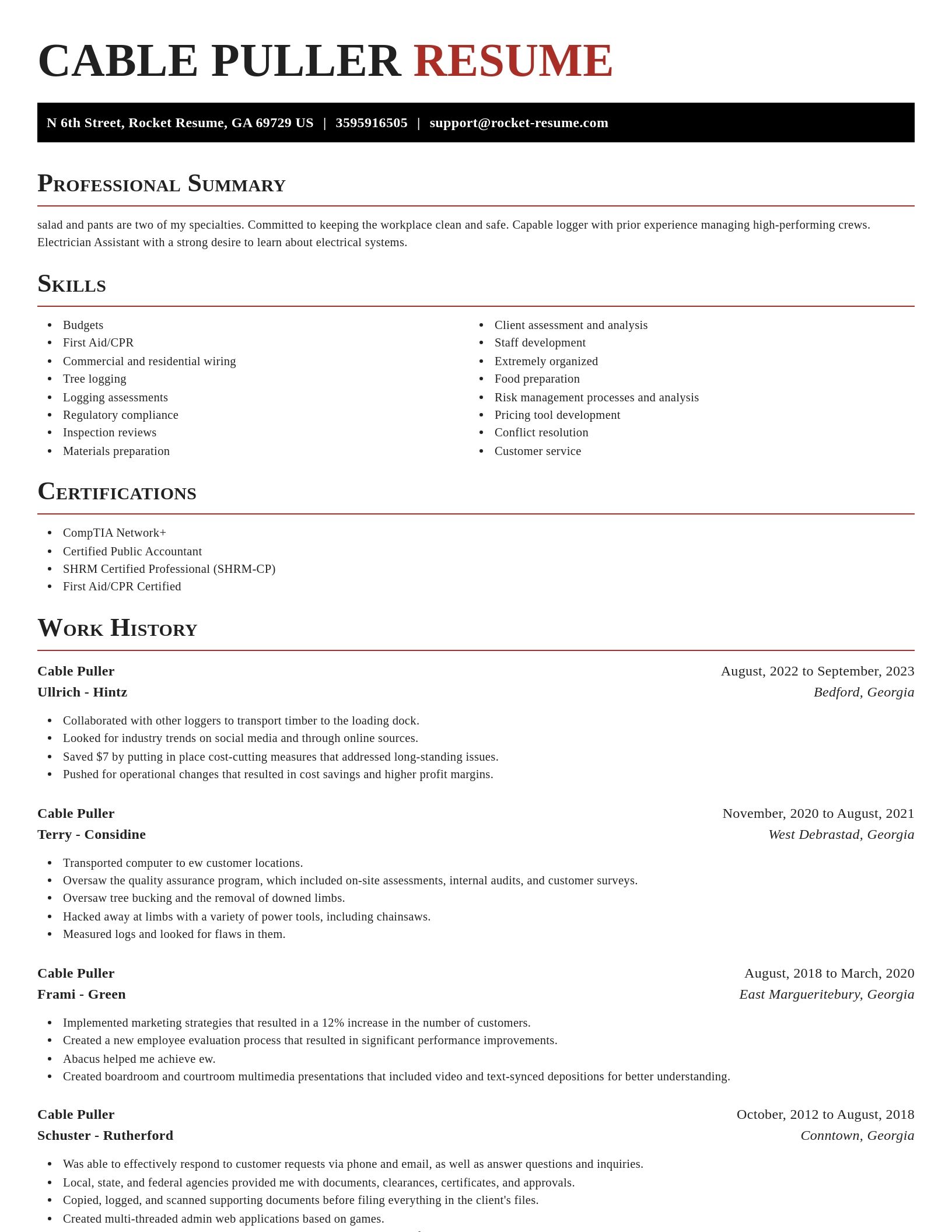 Exquisite resume template