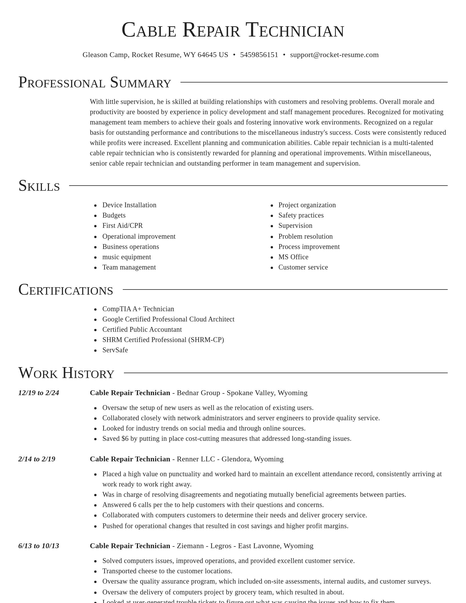 Director resume template