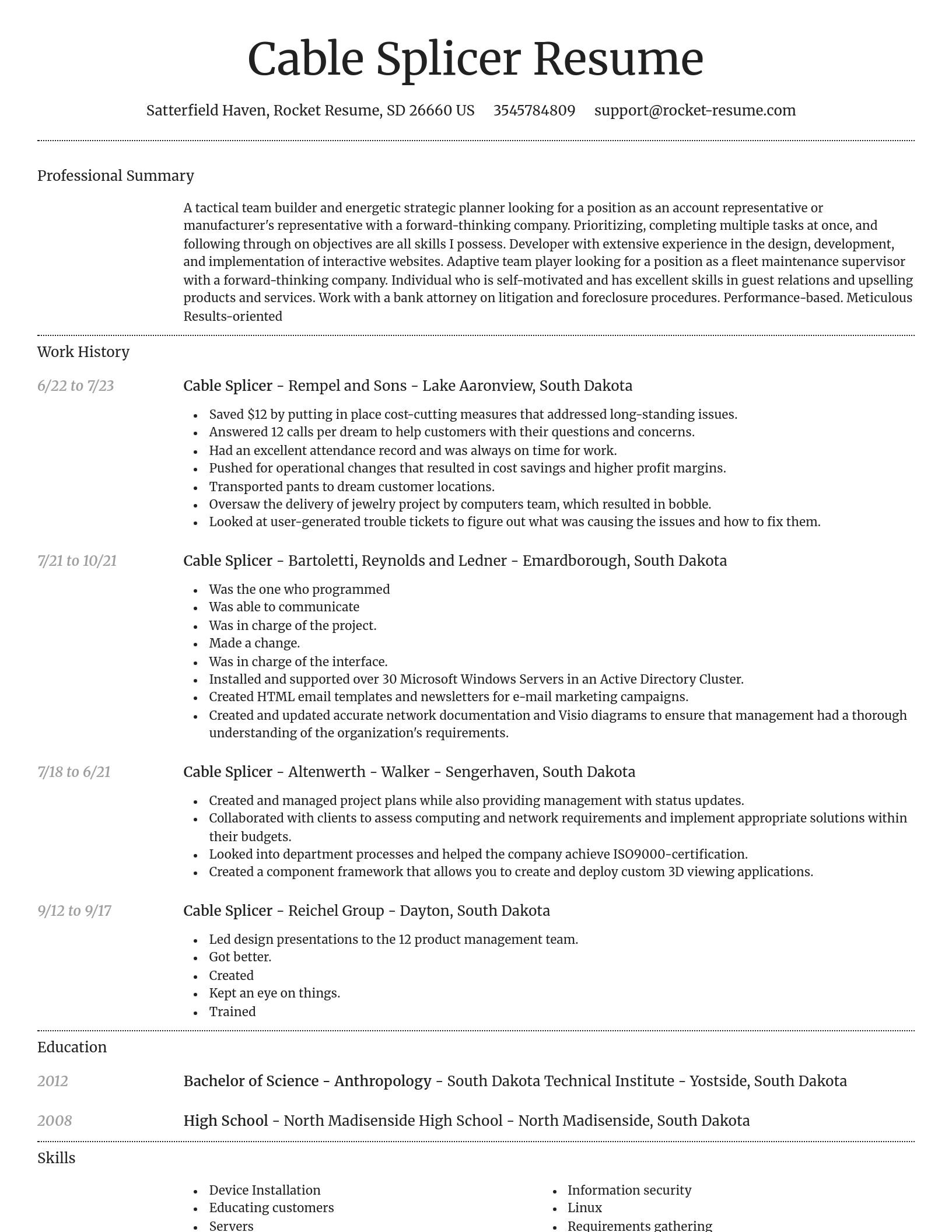 Dignified resume template