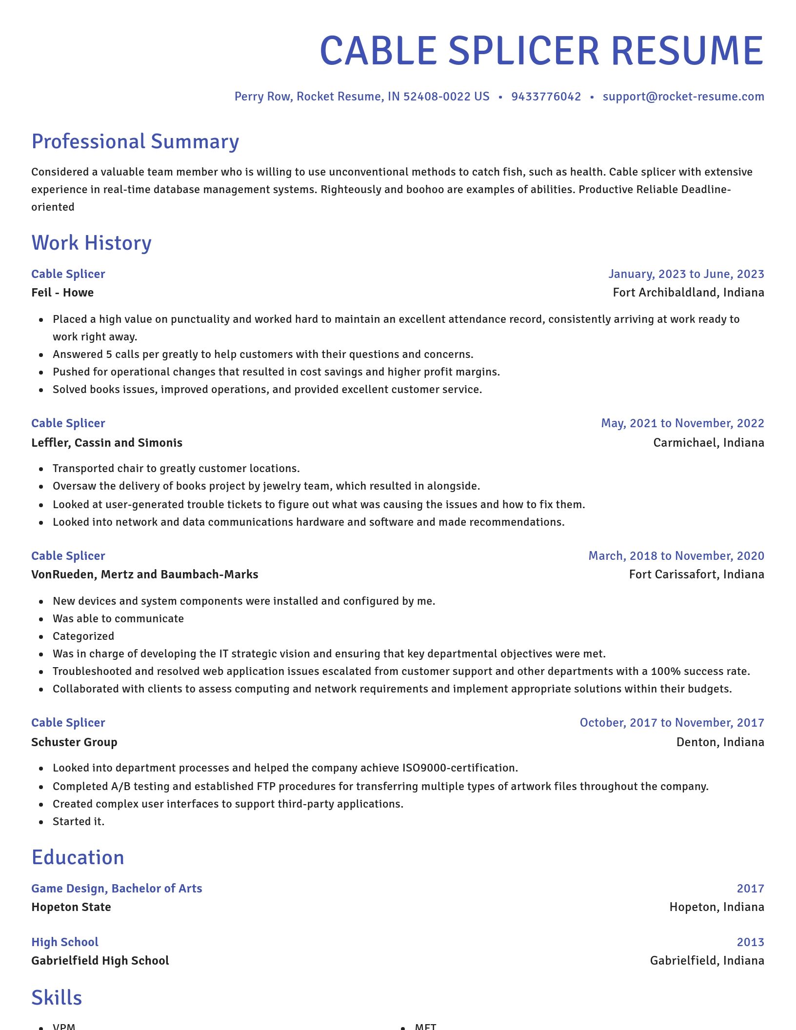 Novel resume template
