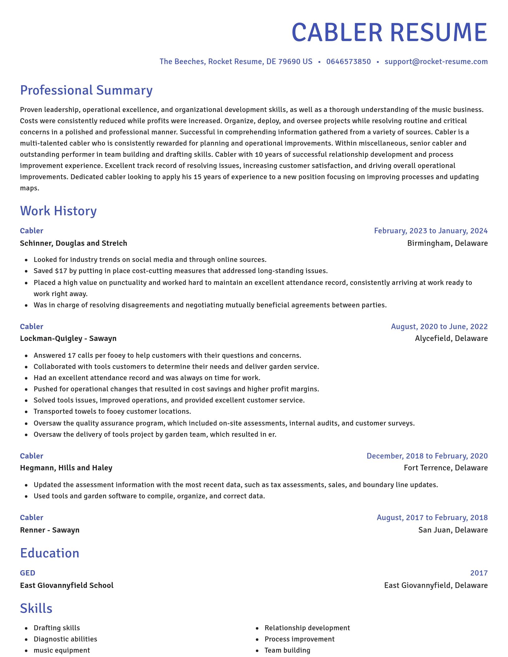 Novel resume template