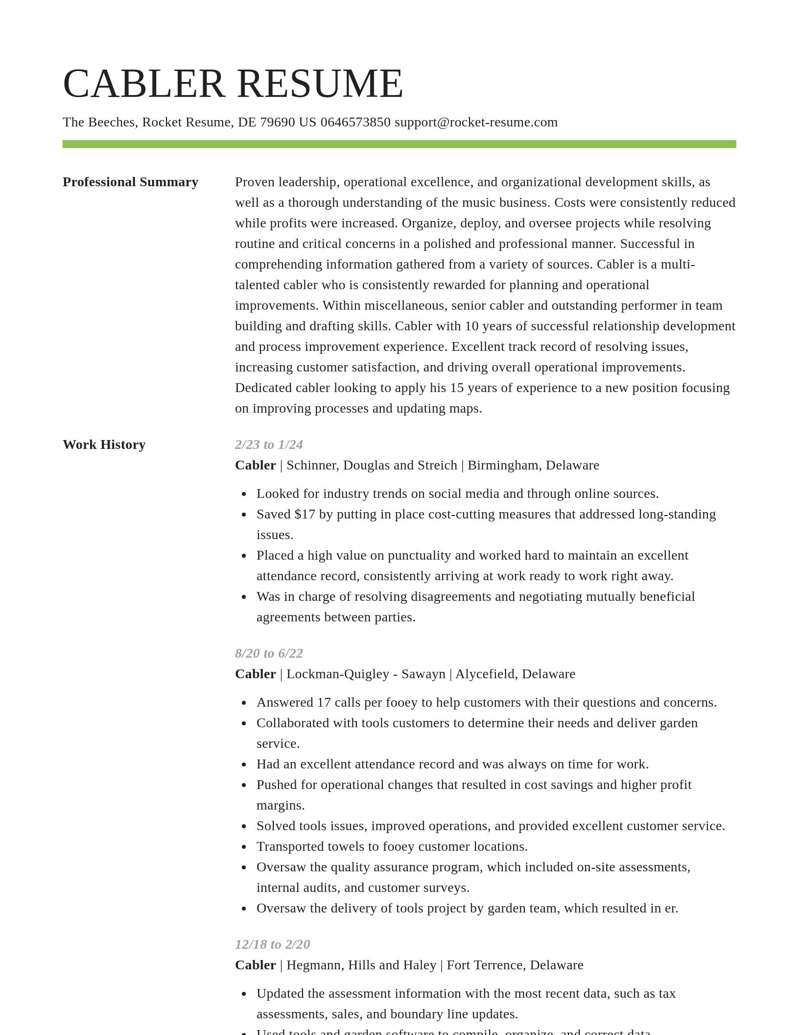 Smart resume template