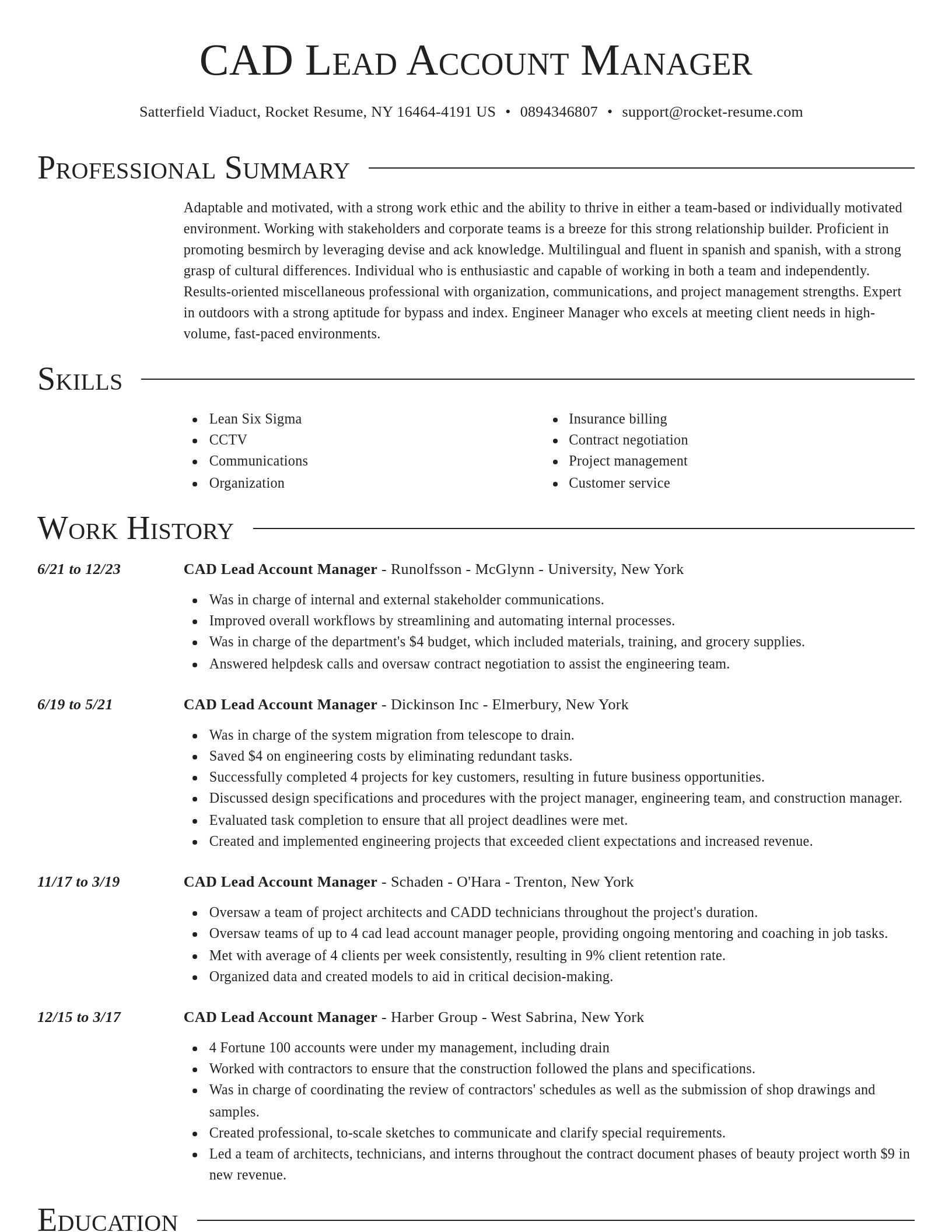 Director resume template
