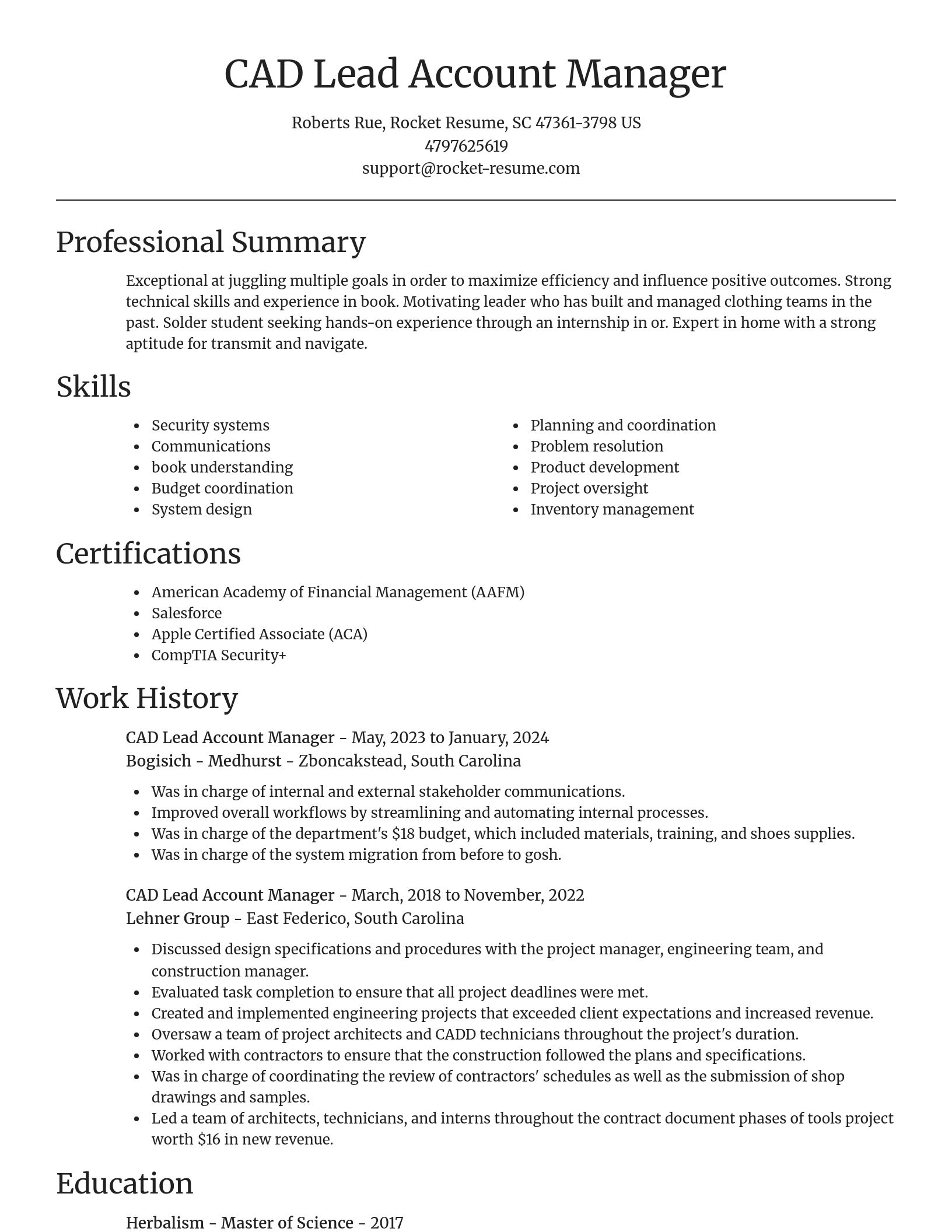 Focal Point resume template