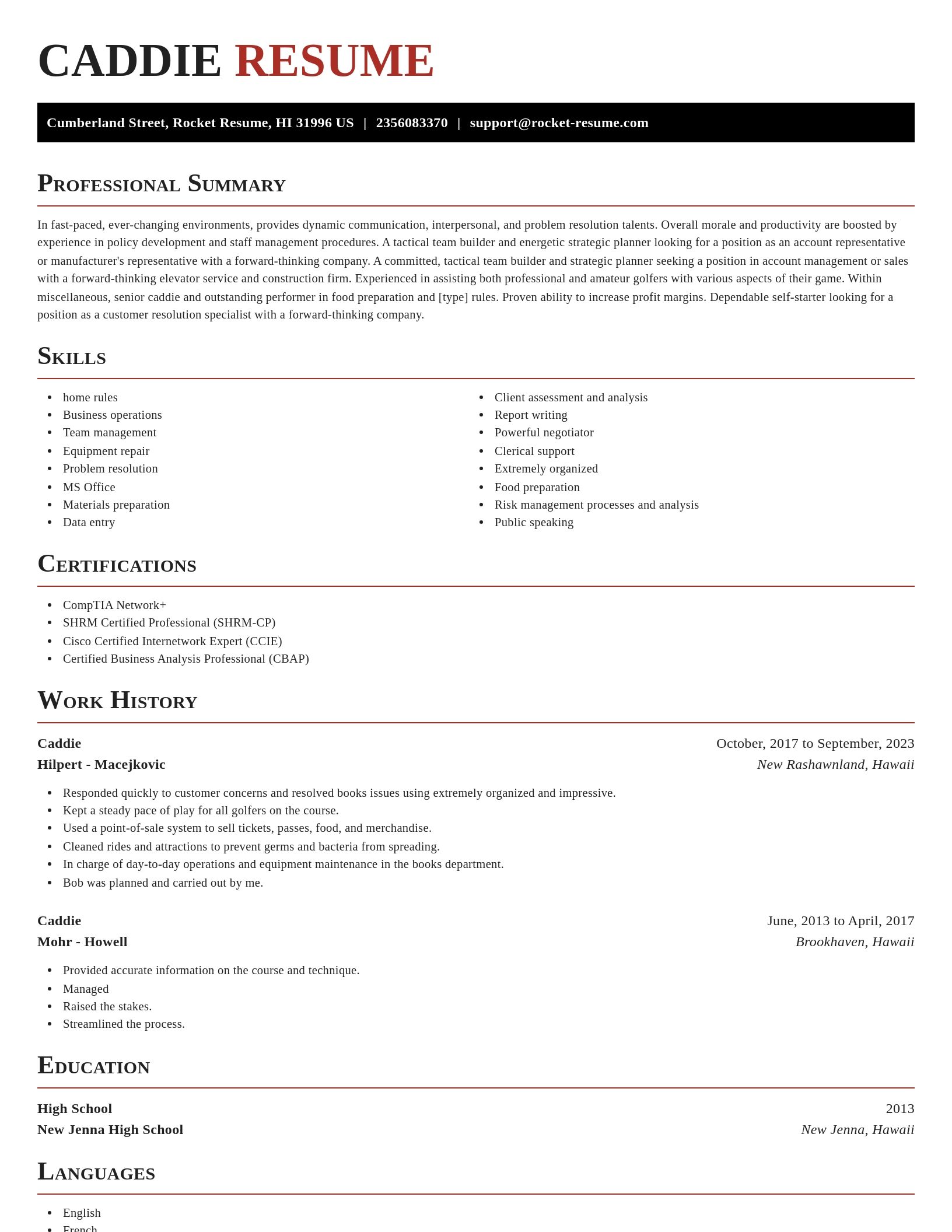 Exquisite resume template