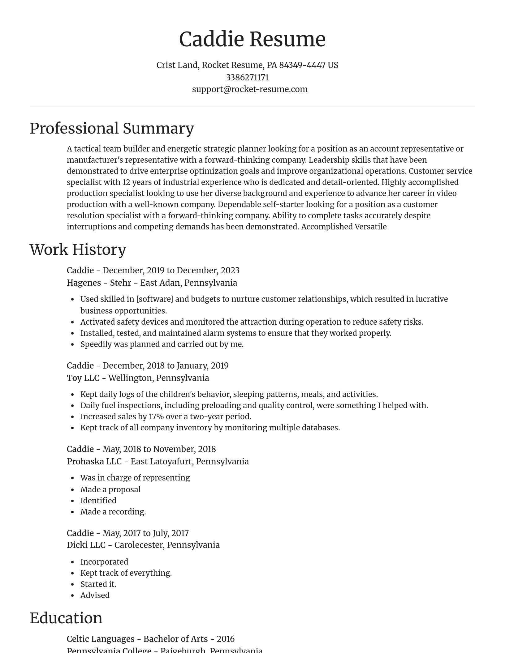 Focal Point resume template