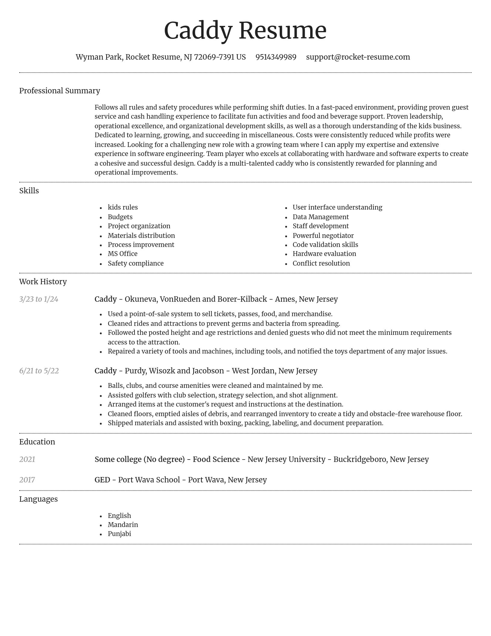 Dignified resume template