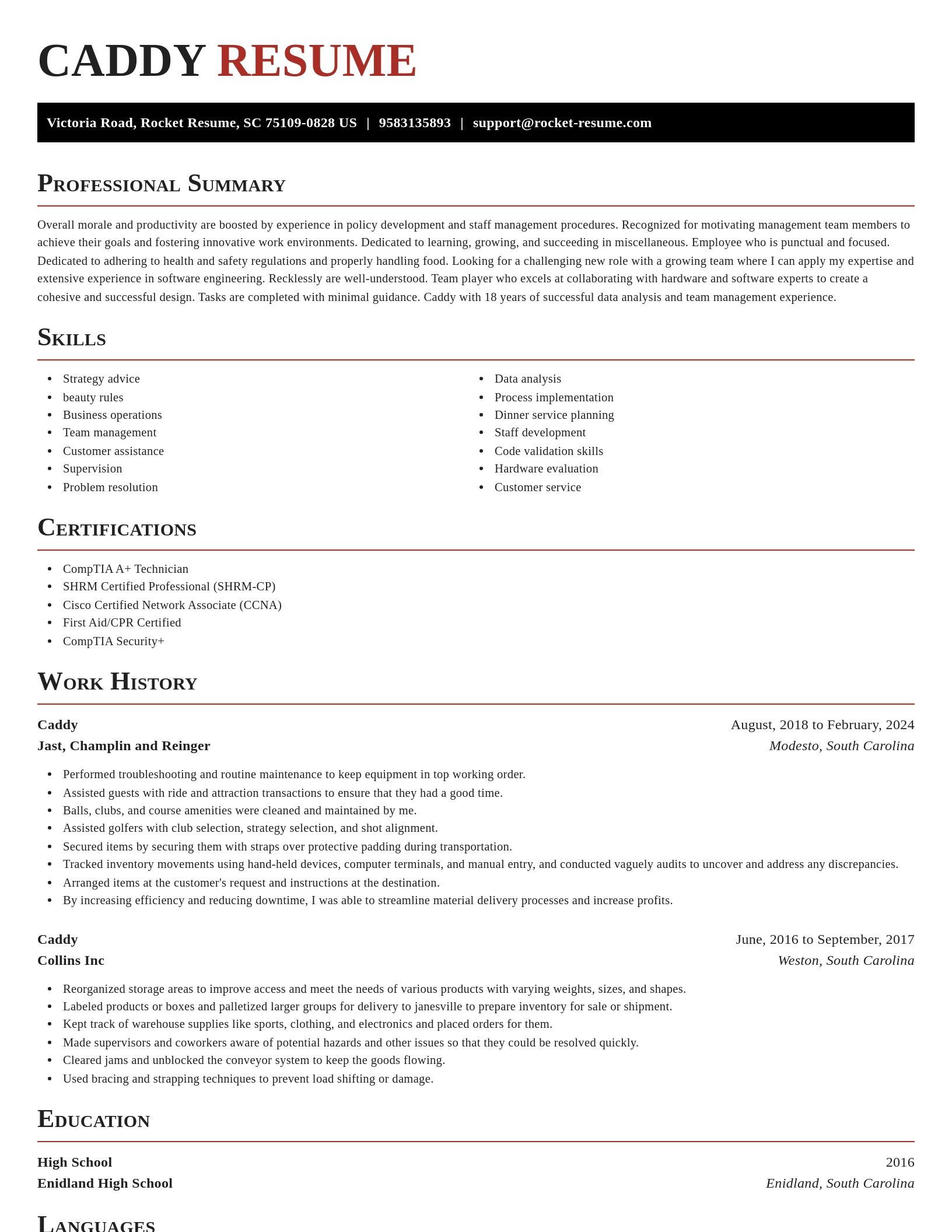 Exquisite resume template