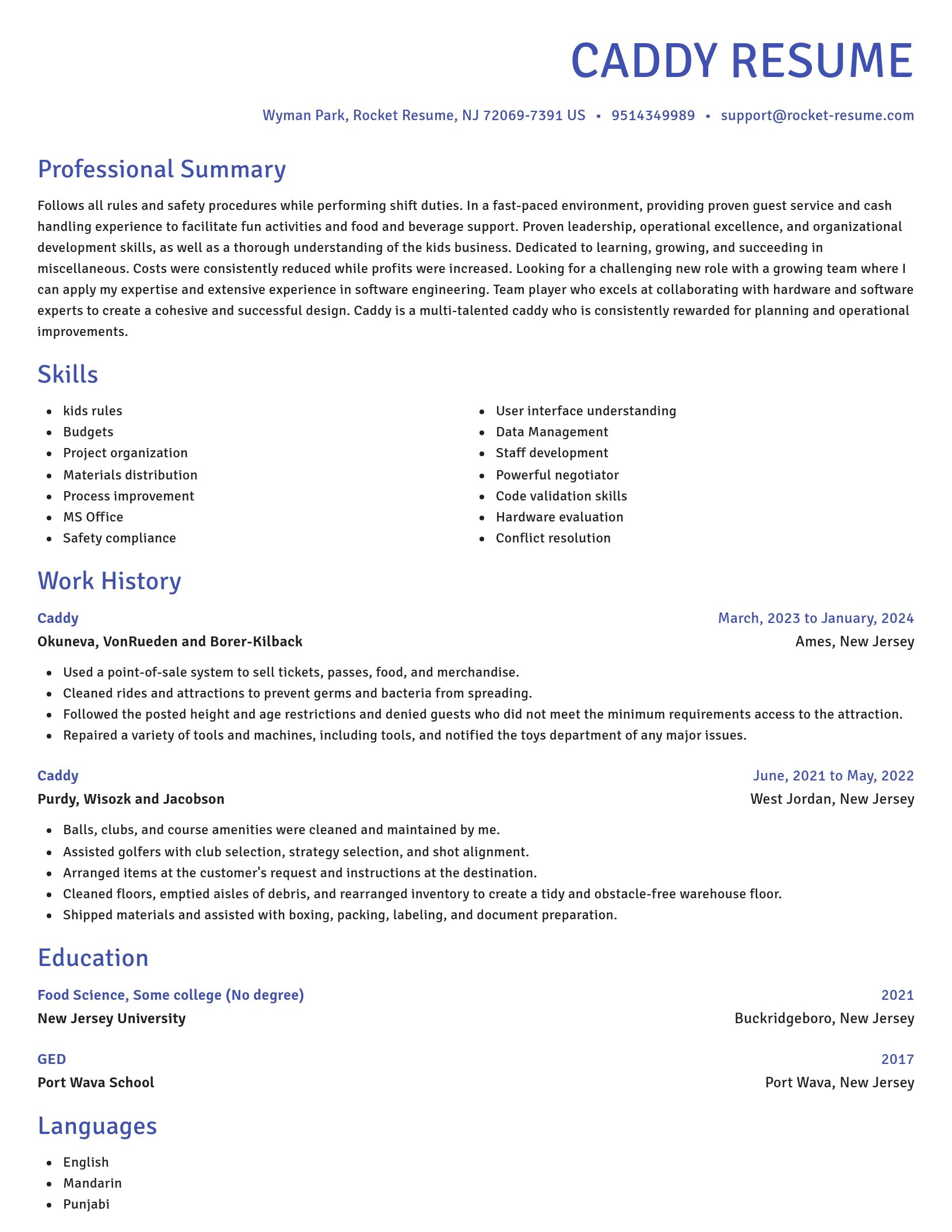 Novel resume template