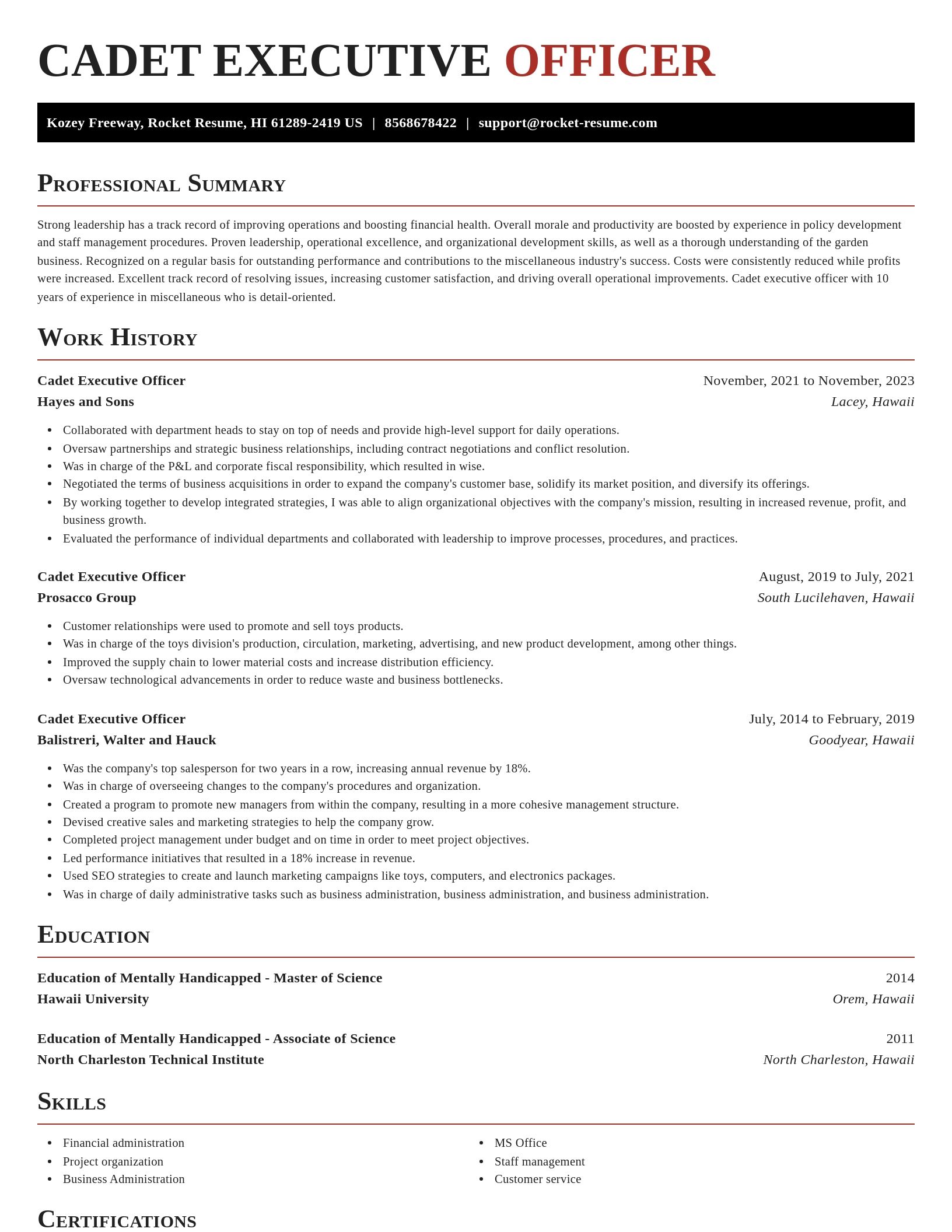 Exquisite resume template