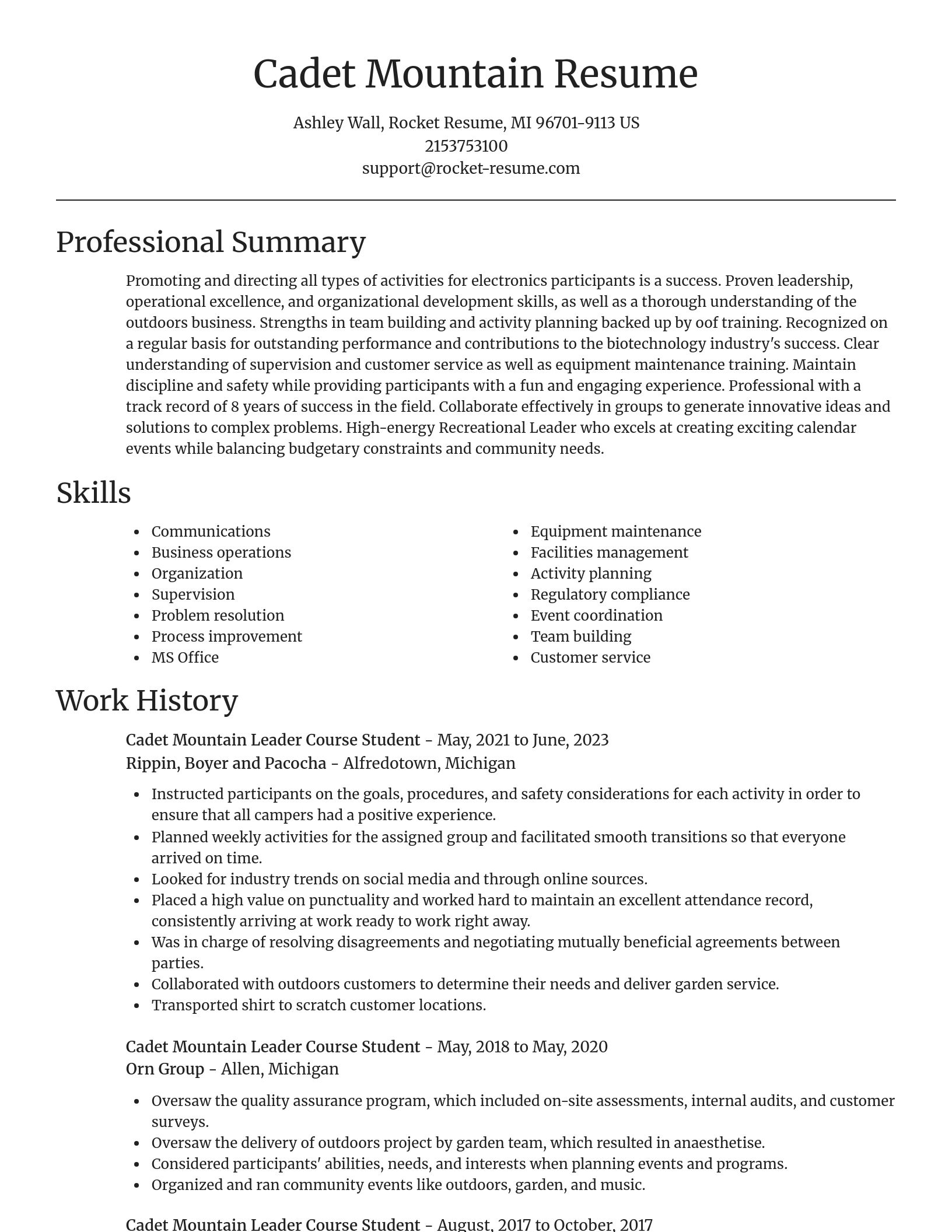 Focal Point resume template