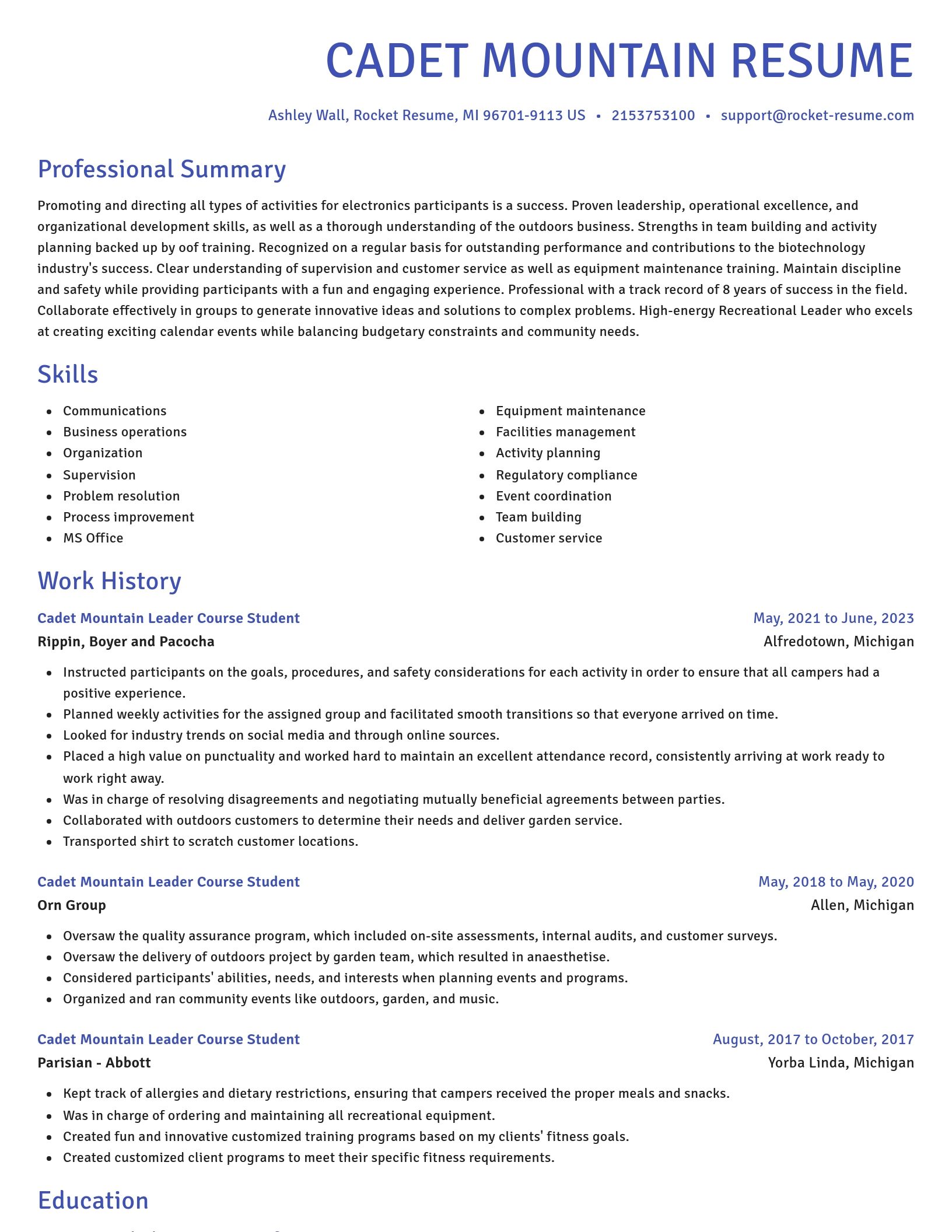 Novel resume template