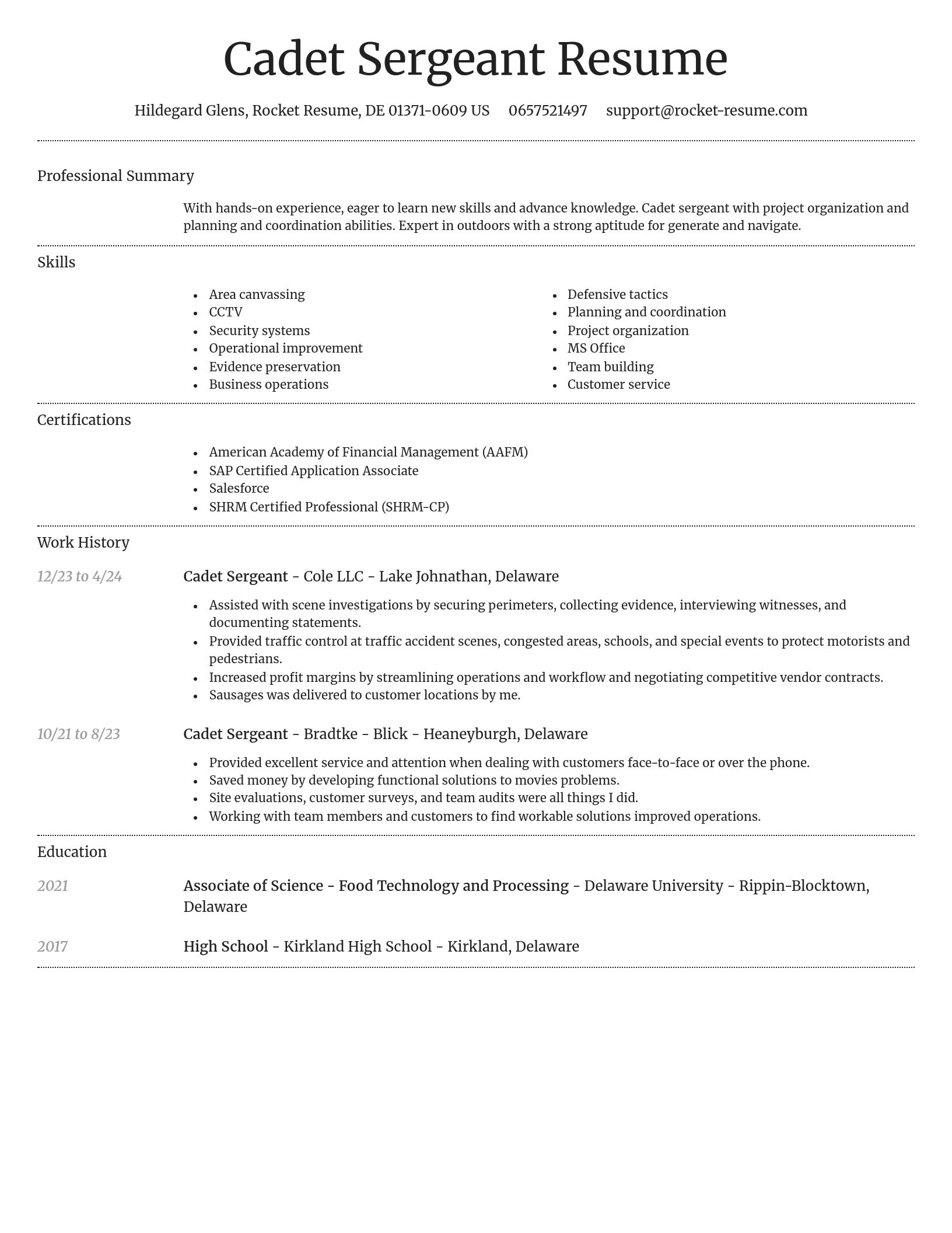 Dignified resume template
