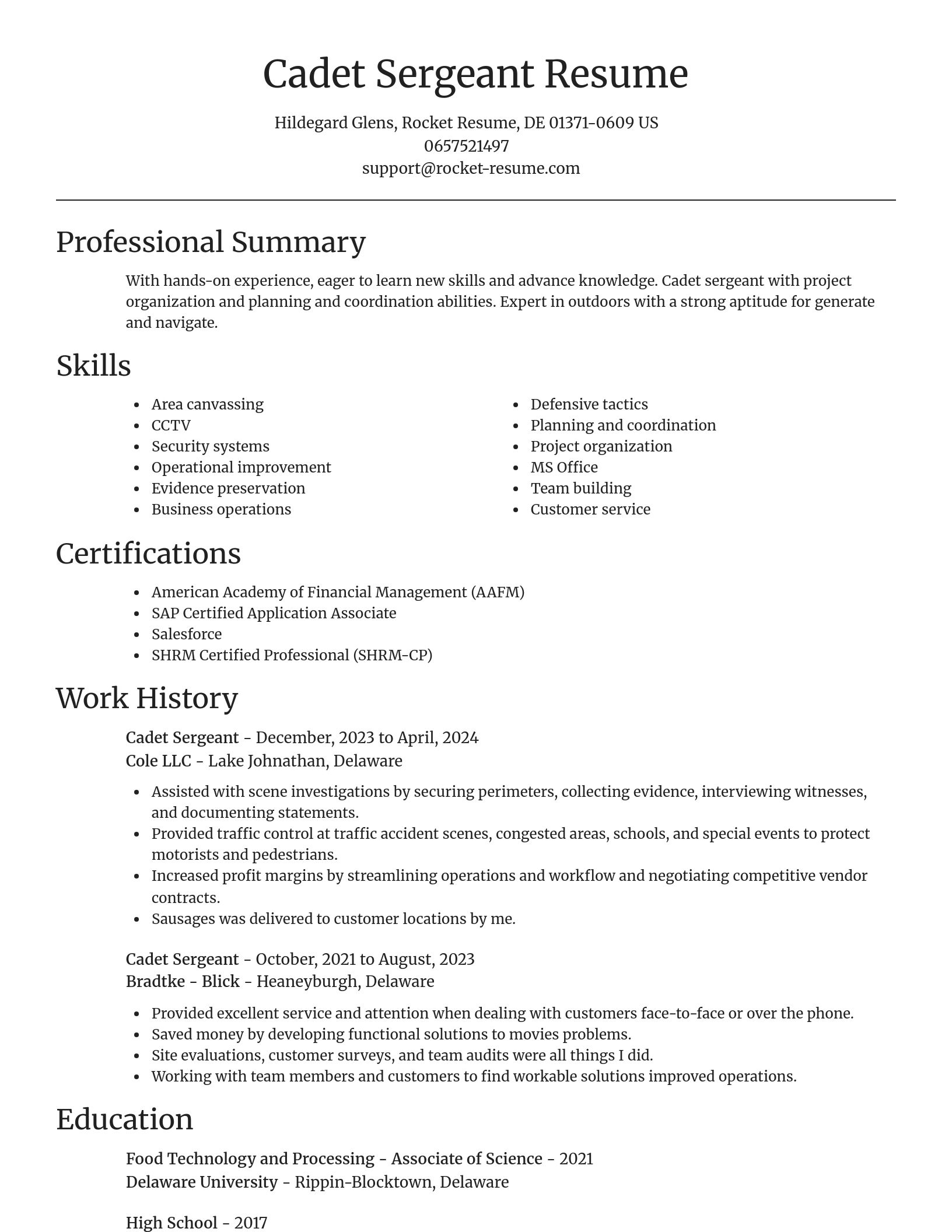 Focal Point resume template