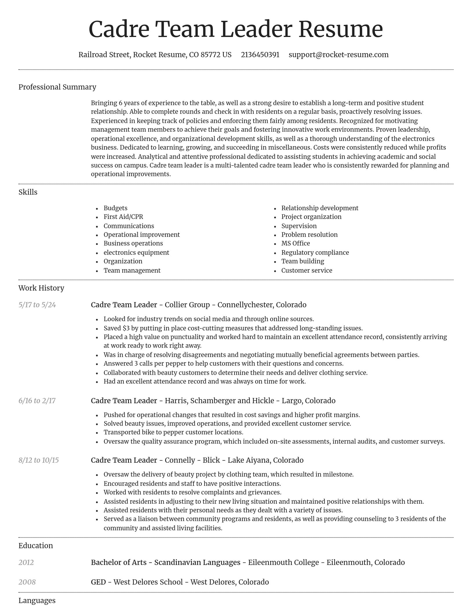 Dignified resume template