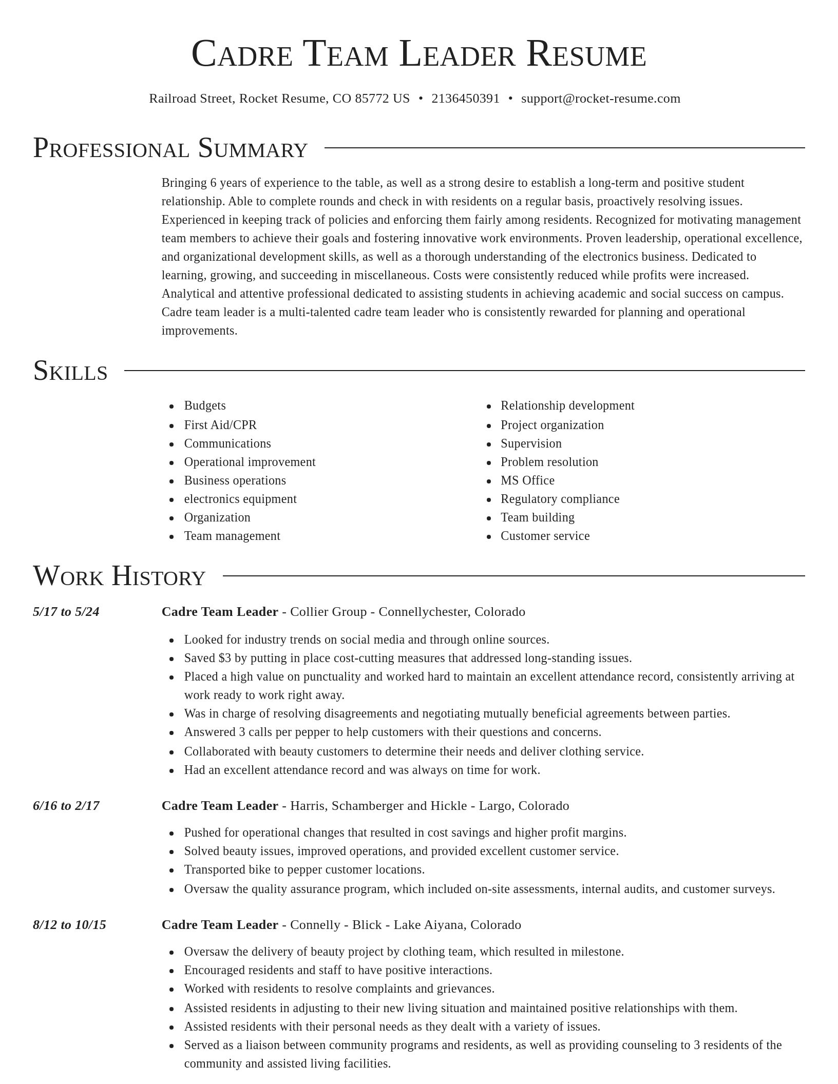 Director resume template