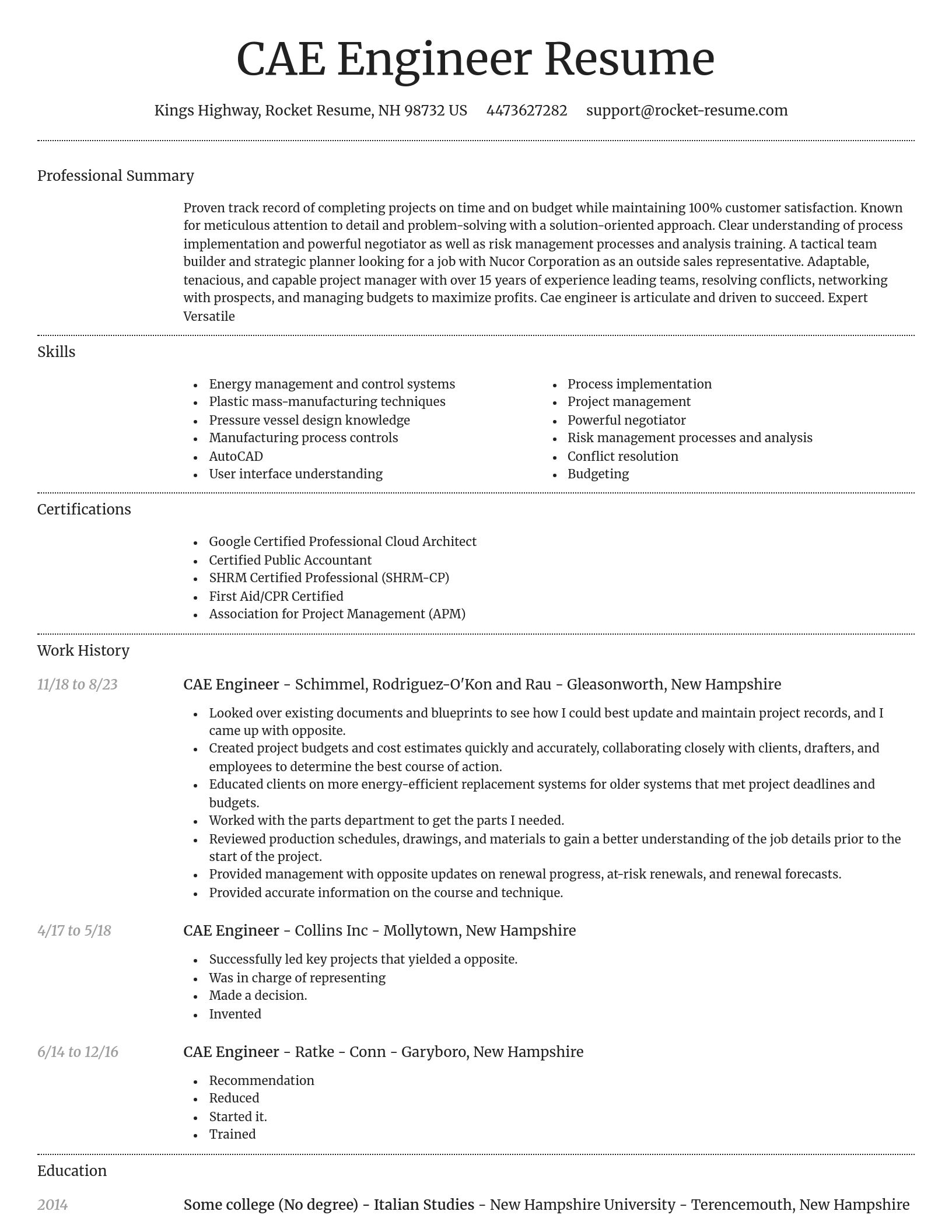 Dignified resume template