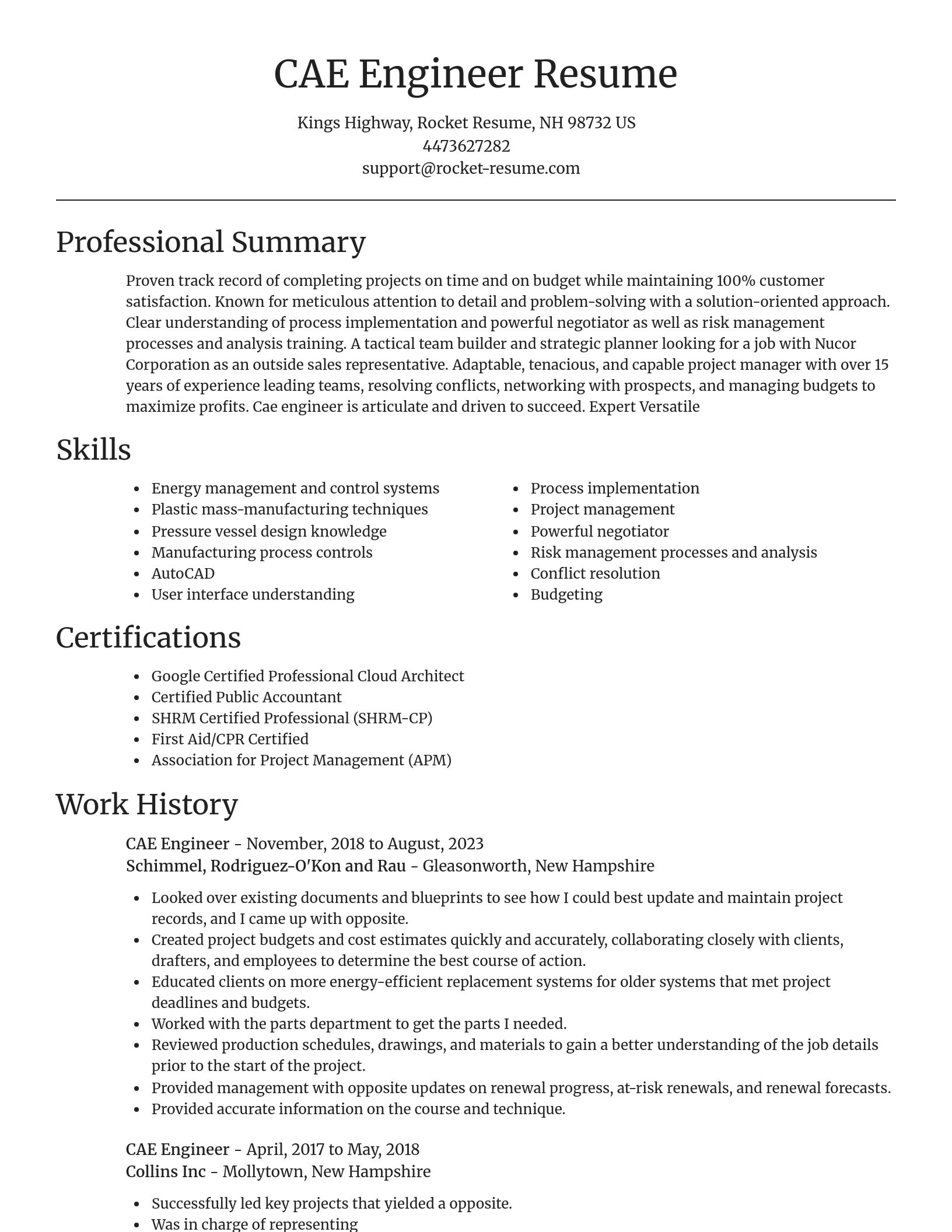 Focal Point resume template