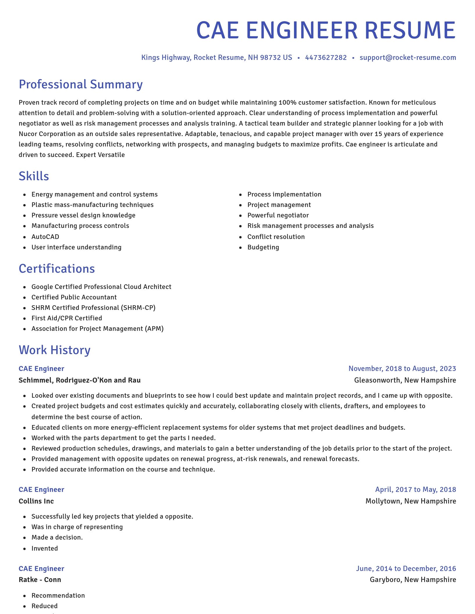 Novel resume template