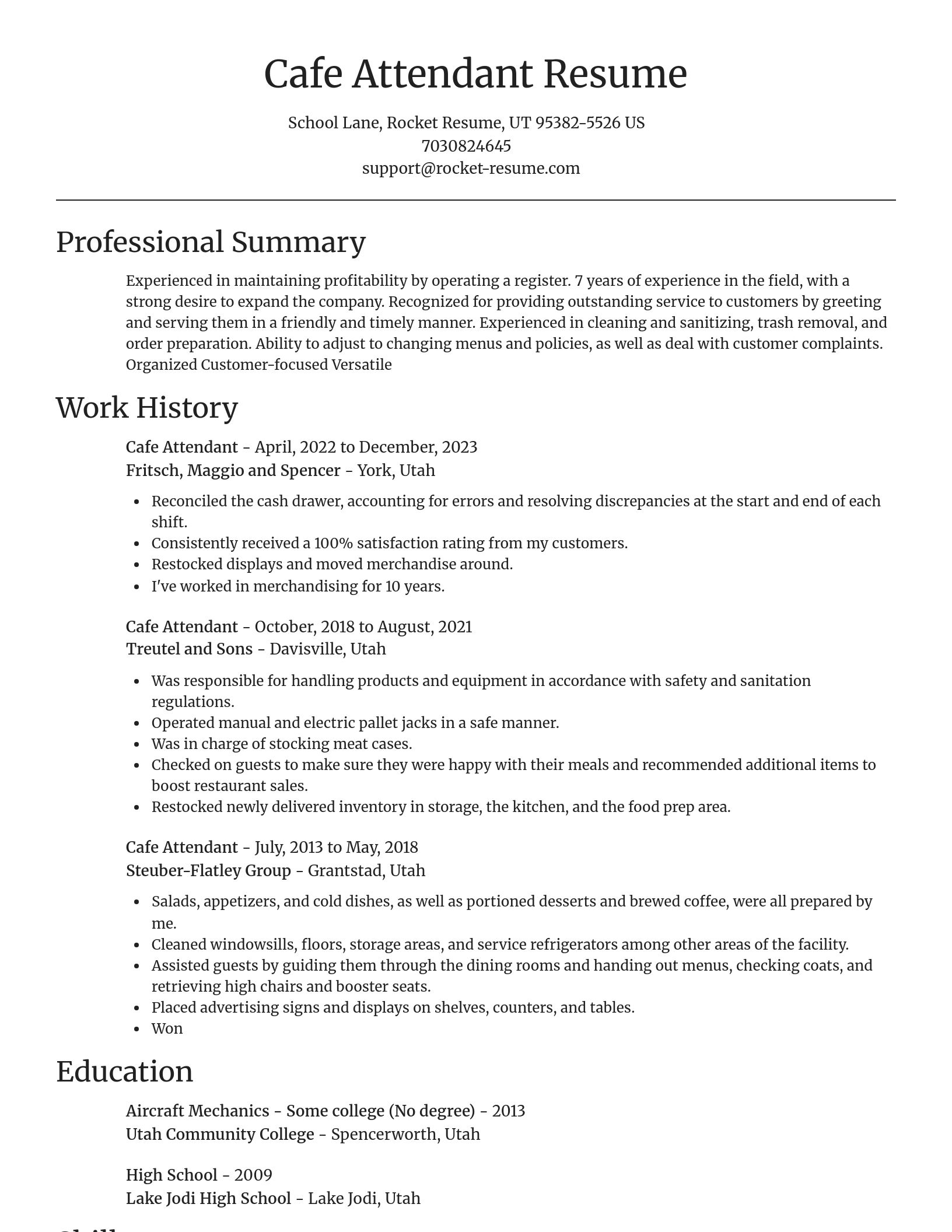 Focal Point resume template