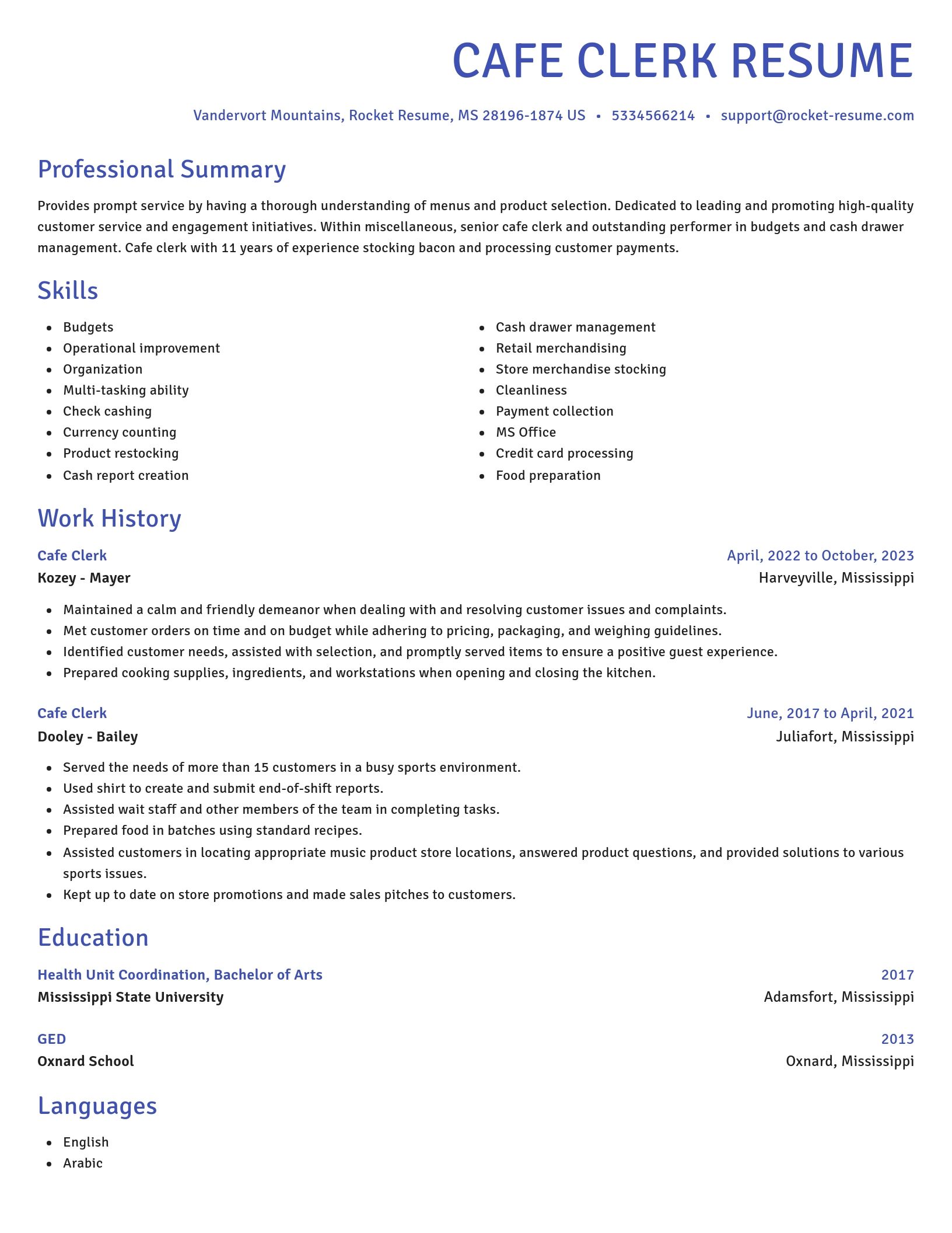 Novel resume template